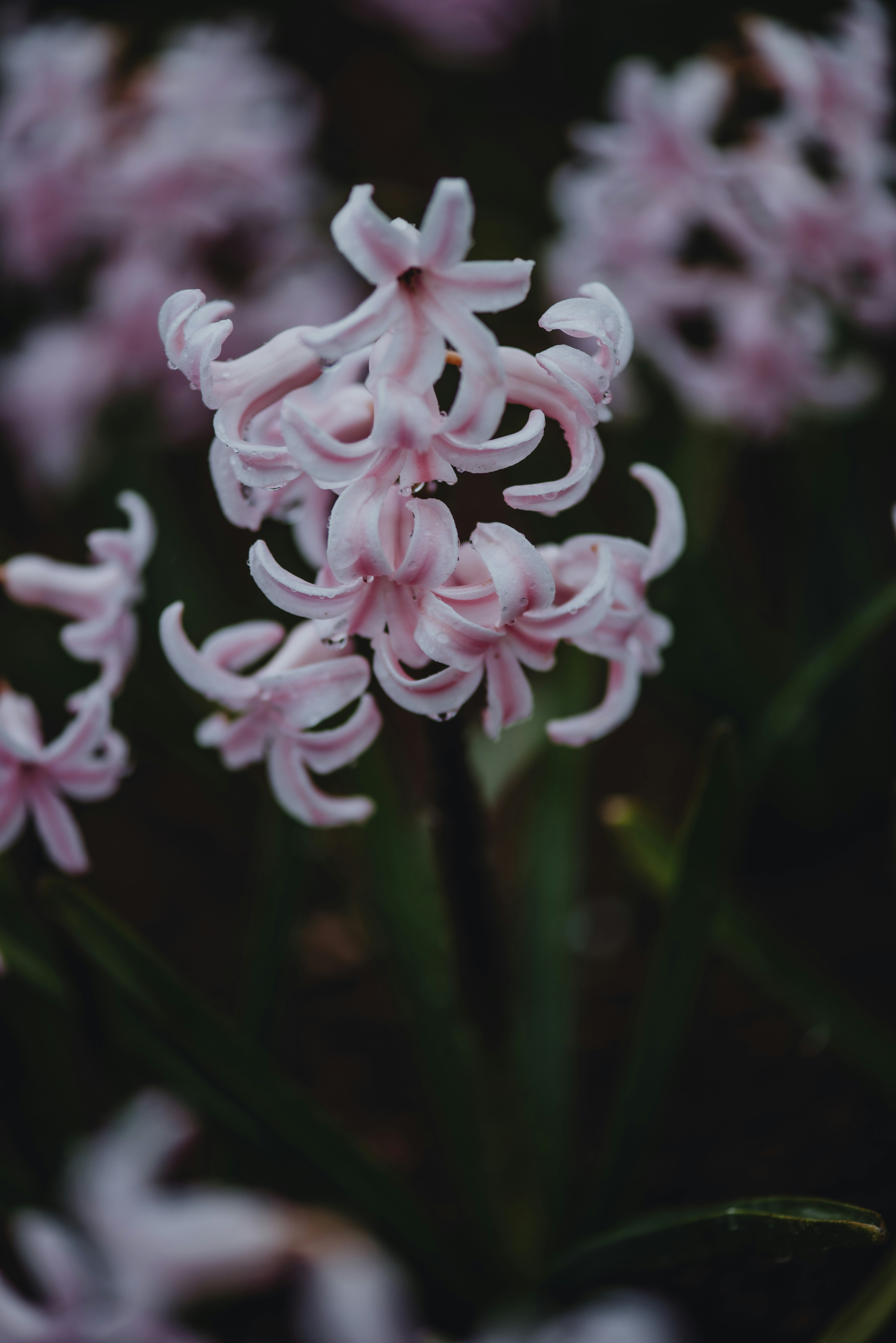 Photo by anitaaustvika