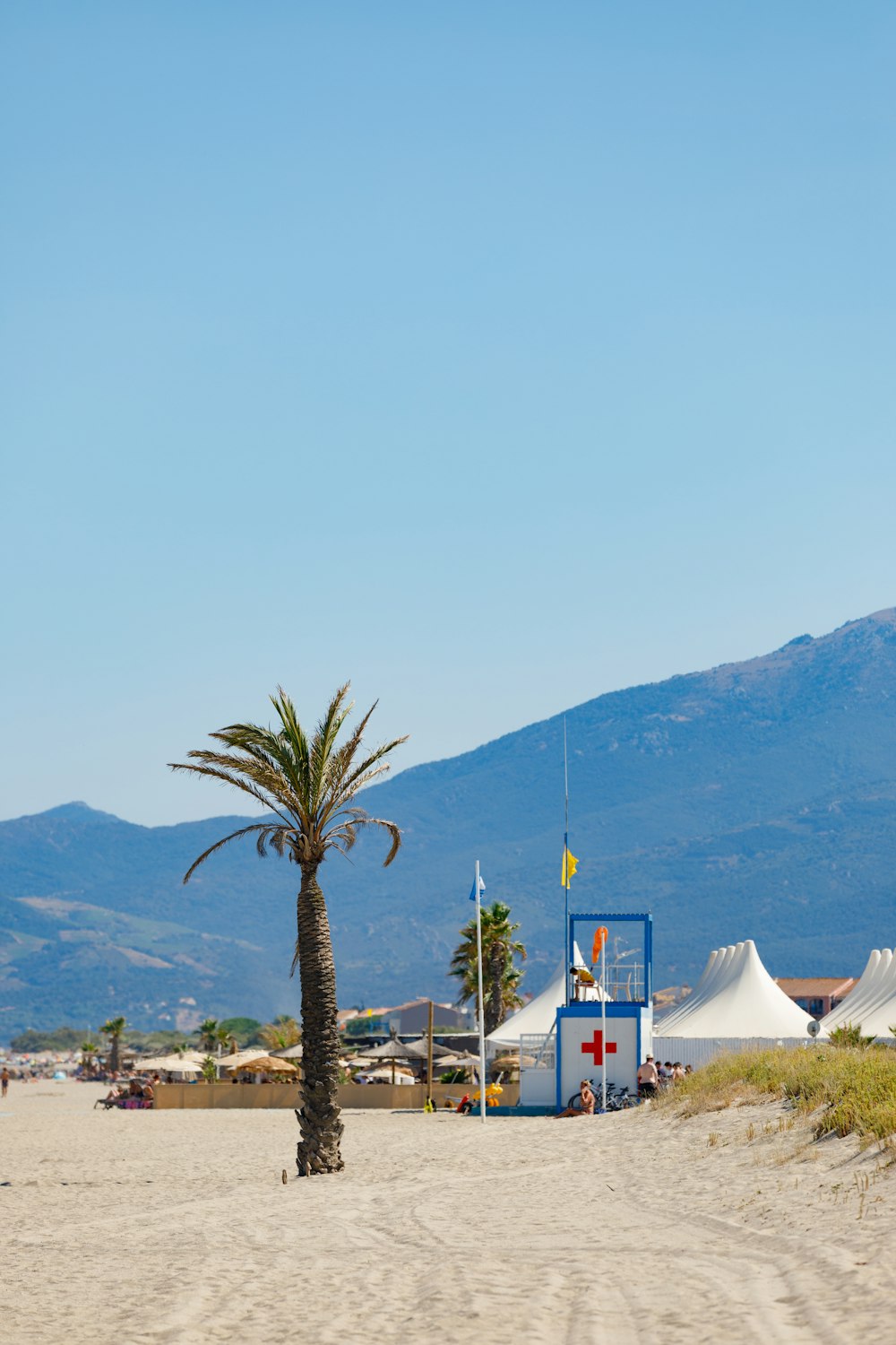 a palm tree on a sandy beach with mountains in the background