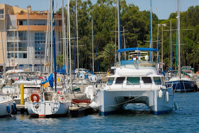 Several sailboats and yachts are moored at a marina, with a large catamaran prominently displayed. The scene includes buildings in the background and lush green trees. Flags and various sailing equipment can be seen.