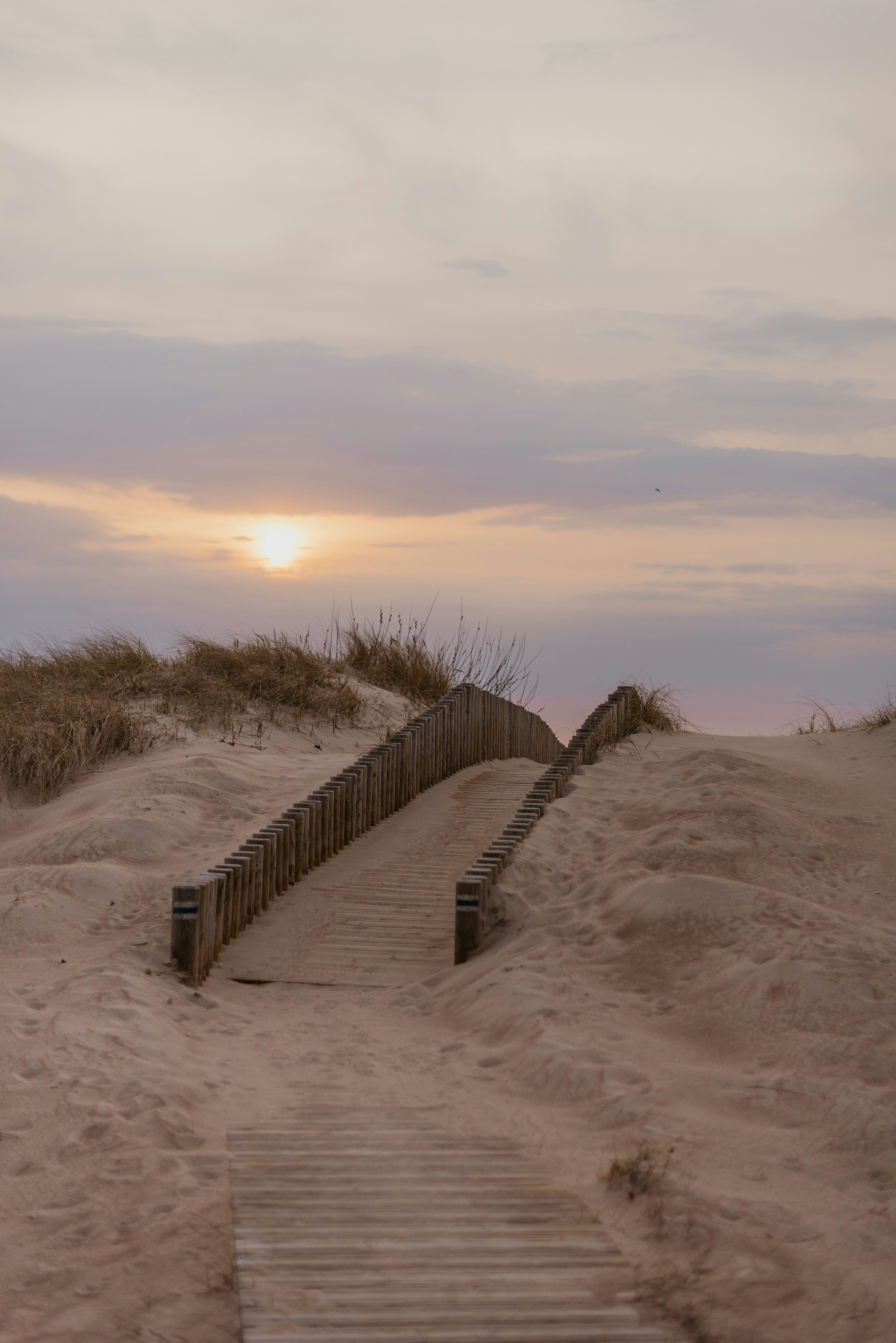 Photo by anitaaustvika