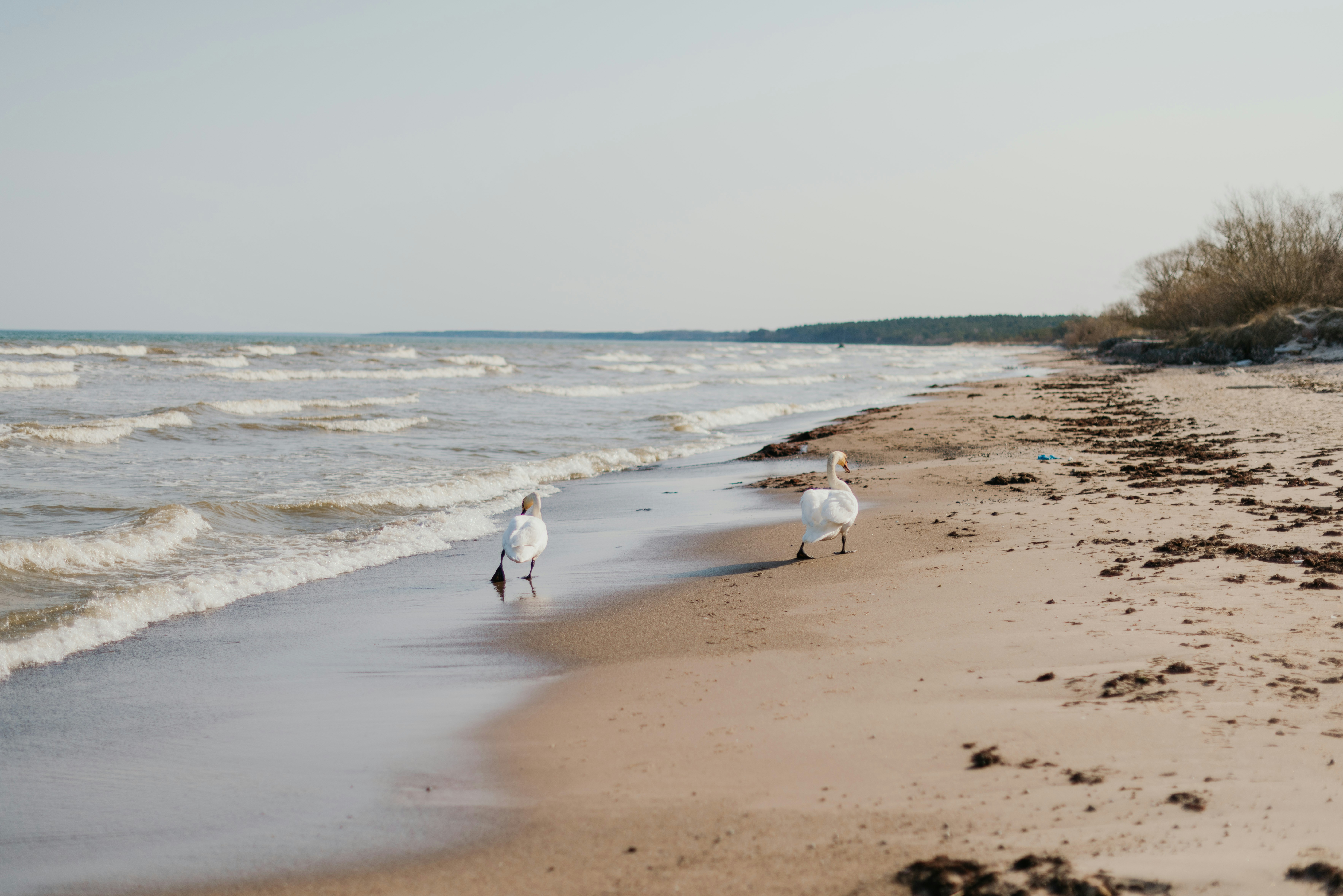 Why Water Is the Sustainability Crisis You're Not Tracking