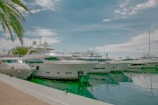 Several luxury yachts are docked in a marina, reflecting on the calm water. The scene includes a clear blue sky with light clouds and a palm tree partially visible on the left side.
