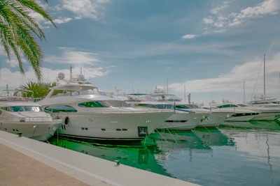 Several luxury yachts are docked in a marina, reflecting on the calm water. The scene includes a clear blue sky with light clouds and a palm tree partially visible on the left side.