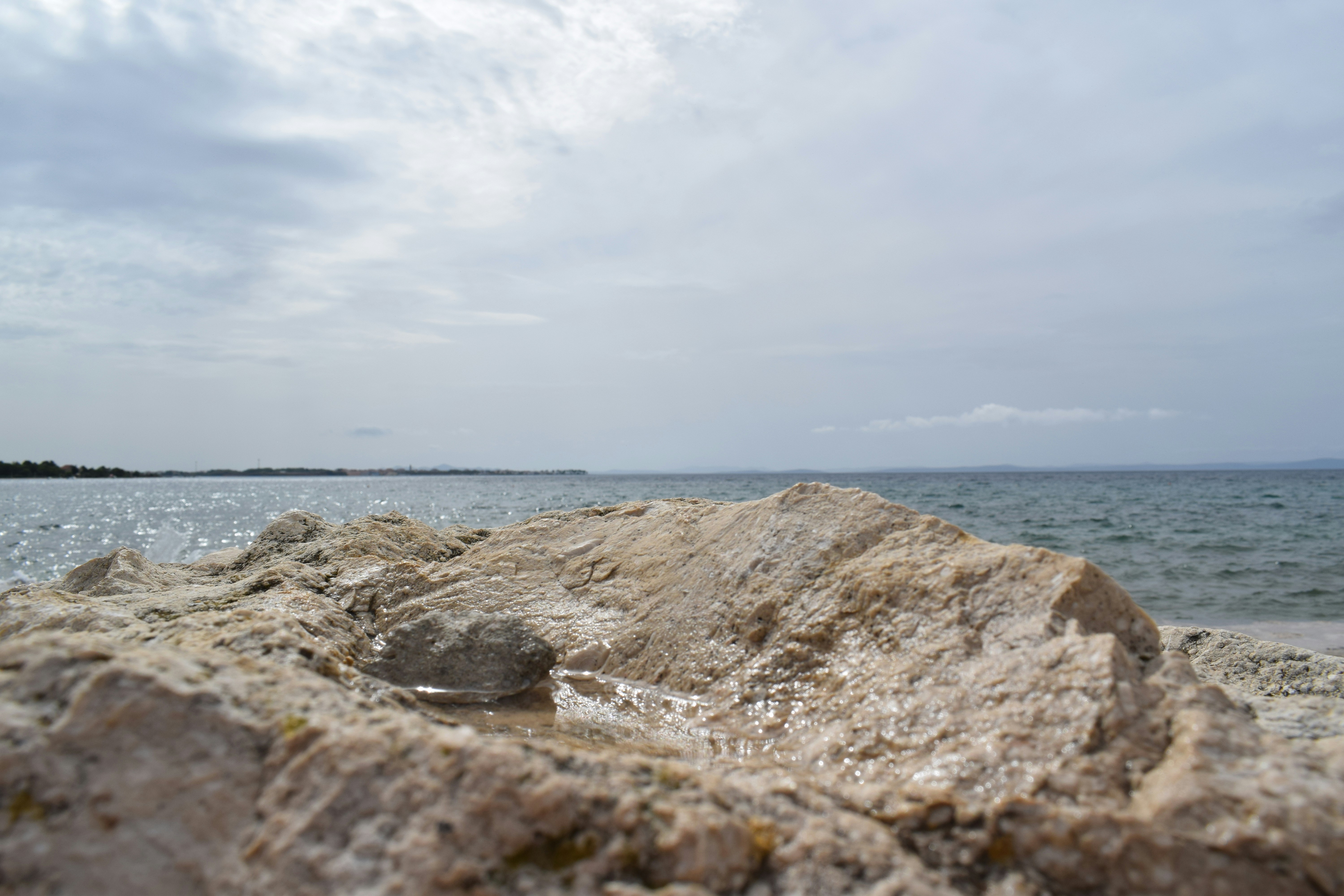 Photo by kristina001