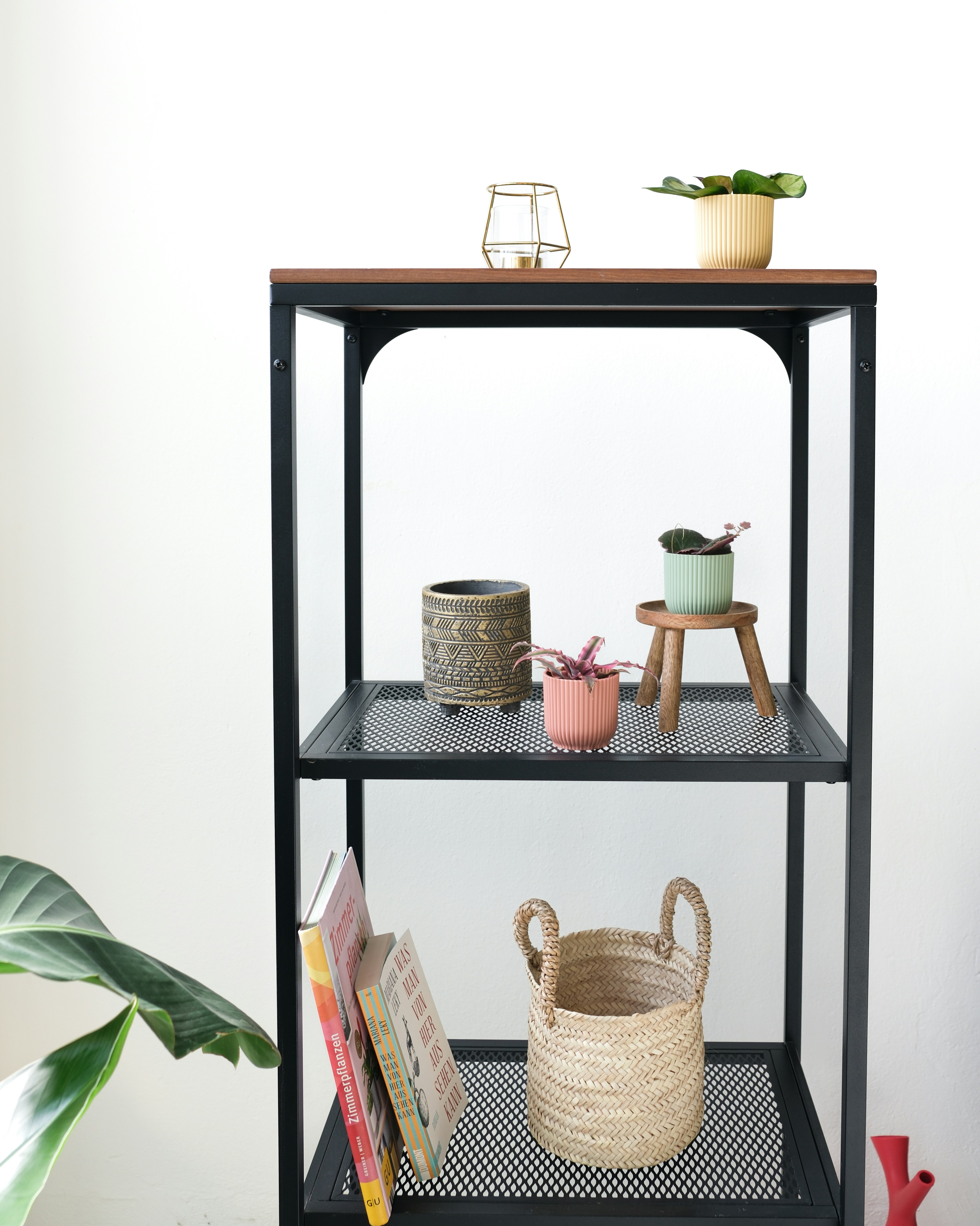 Photo by feeypflanzen