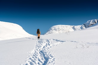 A scenic wide shot of mountainous terrain with a lone hiker in outdoor clothing.