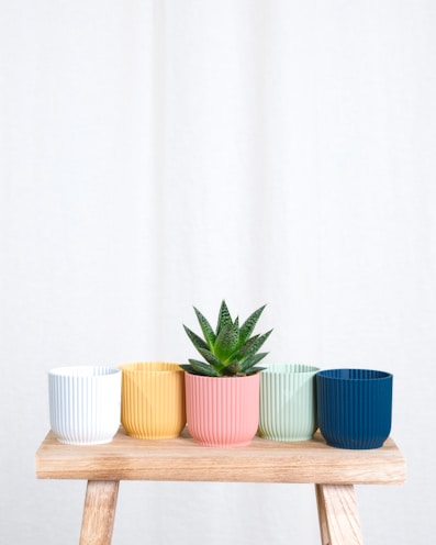 Five ribbed plant pots are arranged on a wooden stool, each in a different color. The central pink pot contains a small, green succulent plant. The background is a plain white or light-colored backdrop.