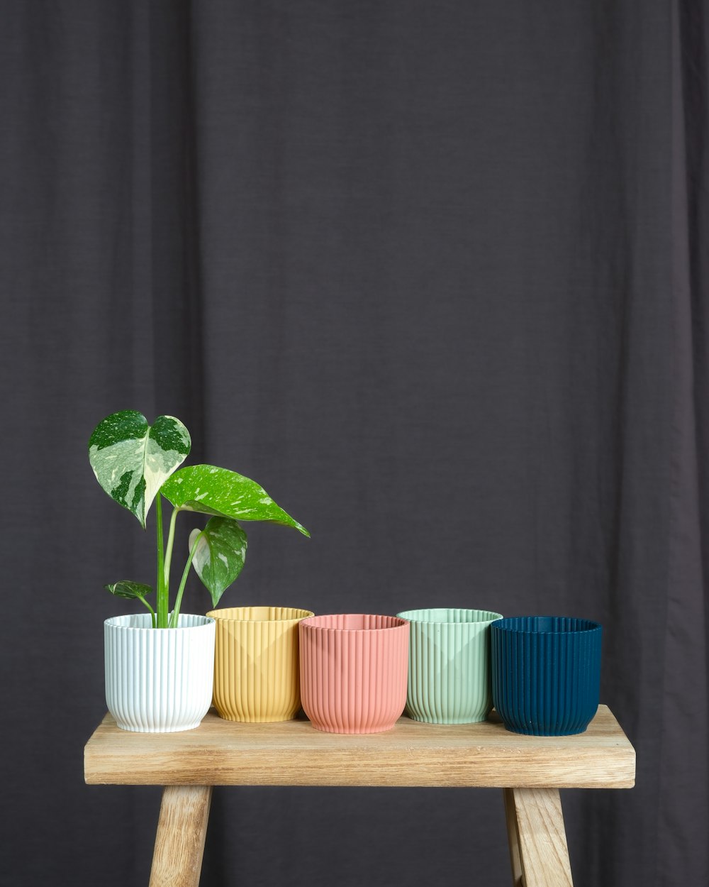 a wooden table topped with a potted plant