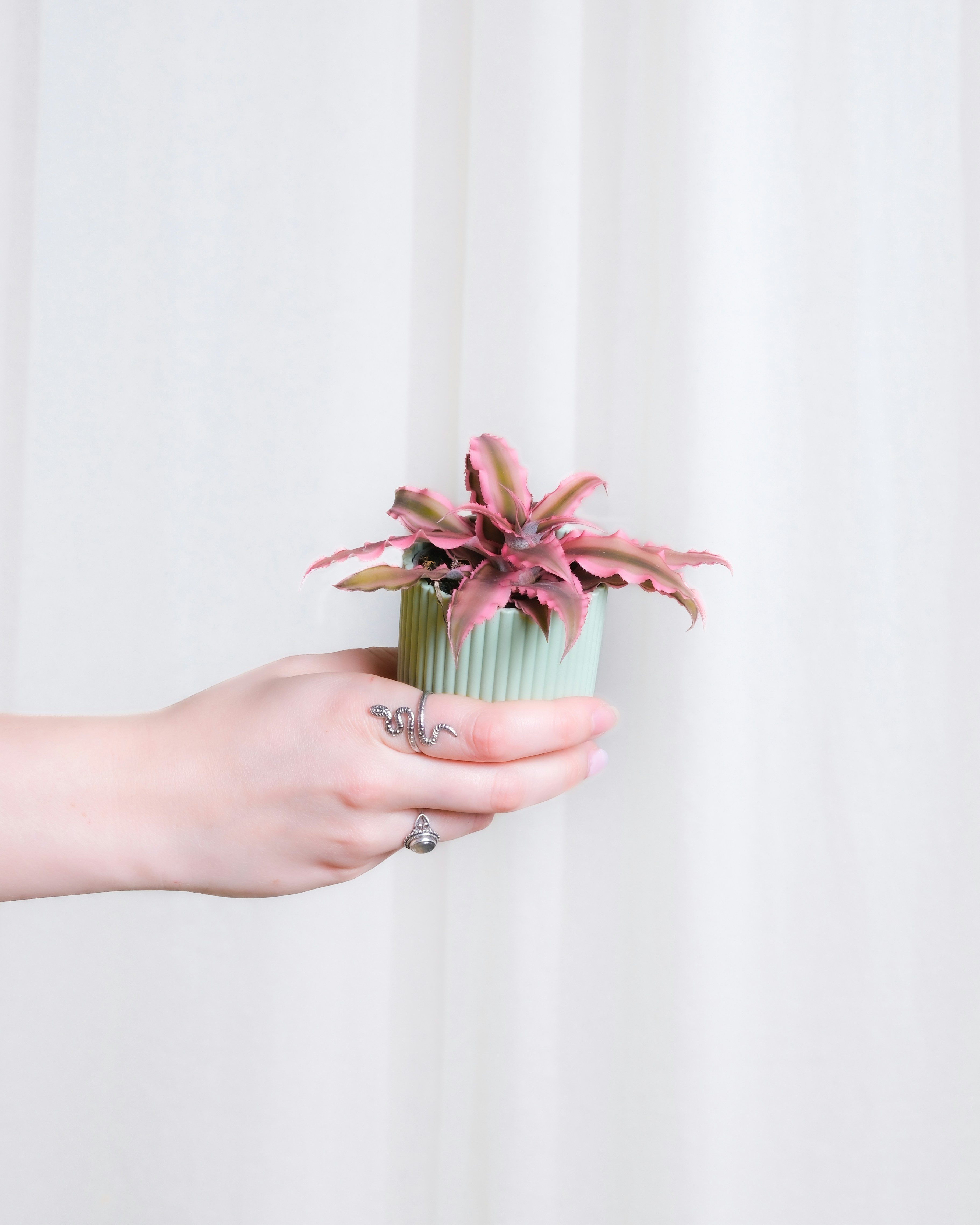a person holding a cupcake with a plant in it