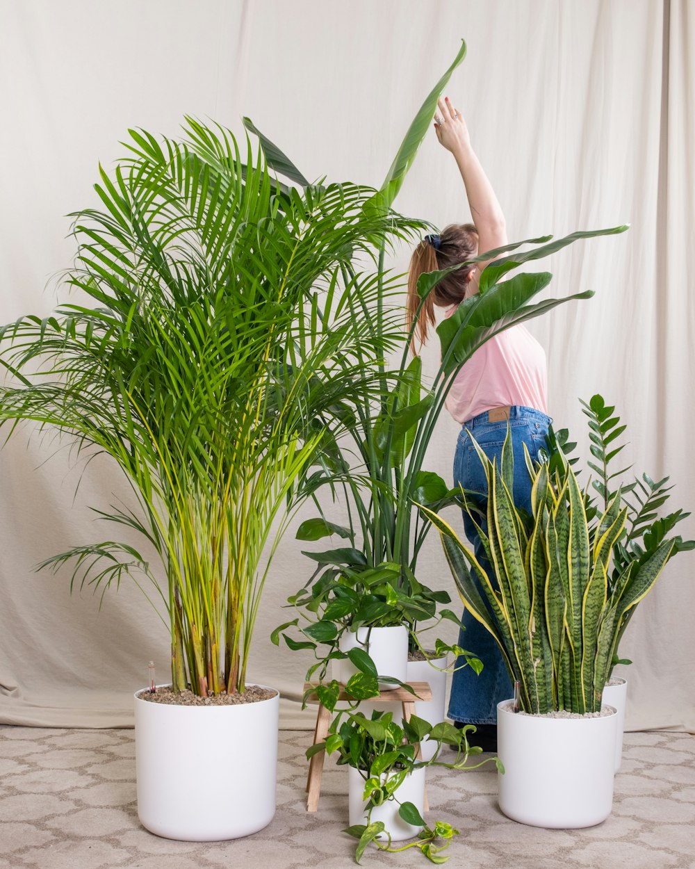 a woman standing next to three potted plants