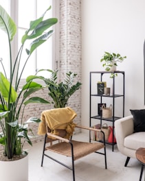 a living room filled with furniture and a plant
