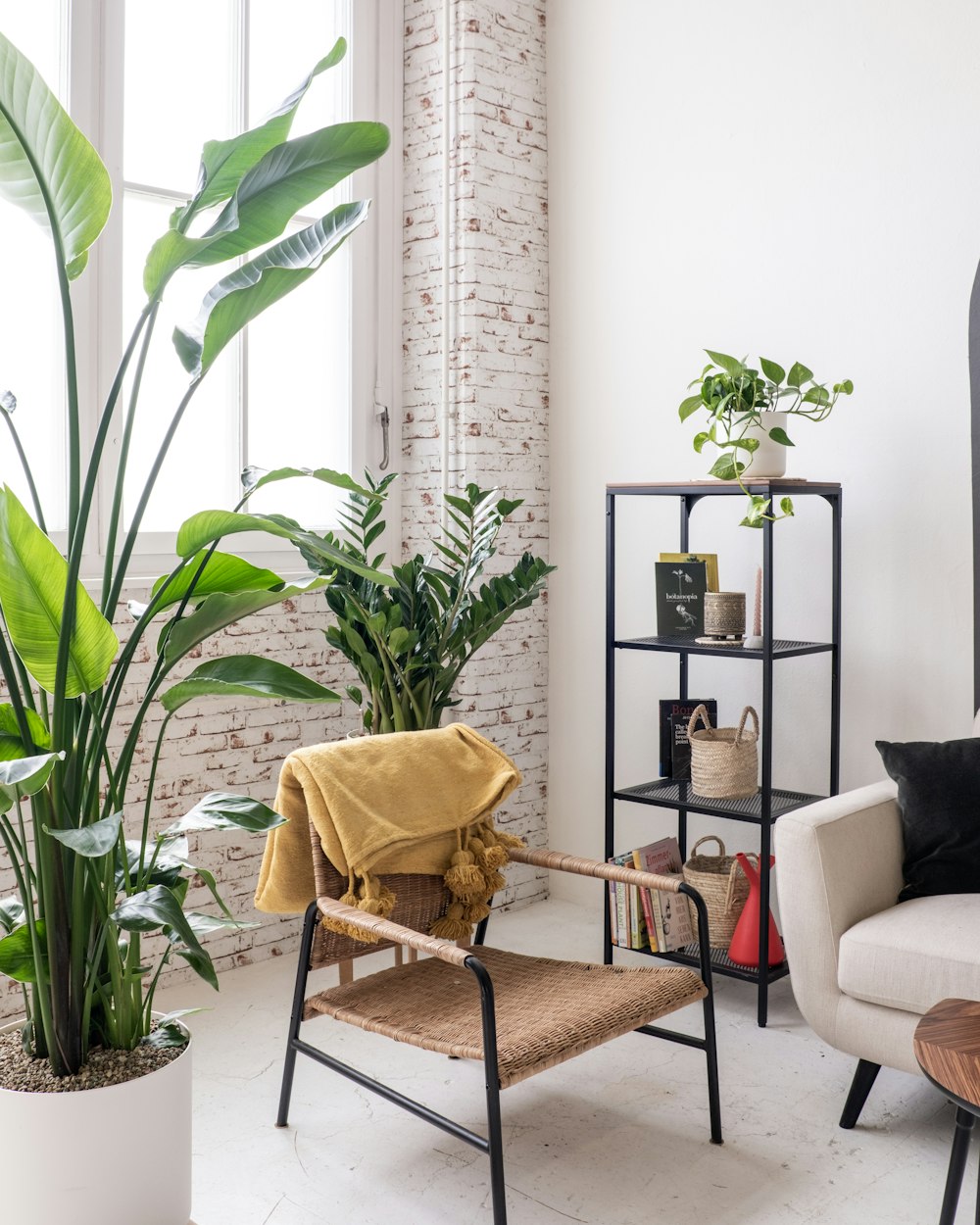 a living room filled with furniture and a plant