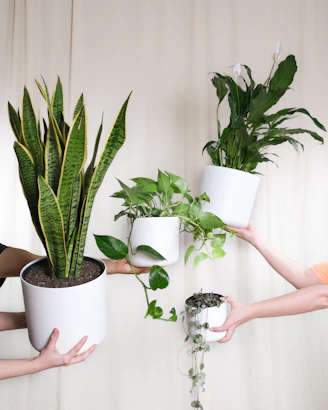 a group of people holding plants in their hands