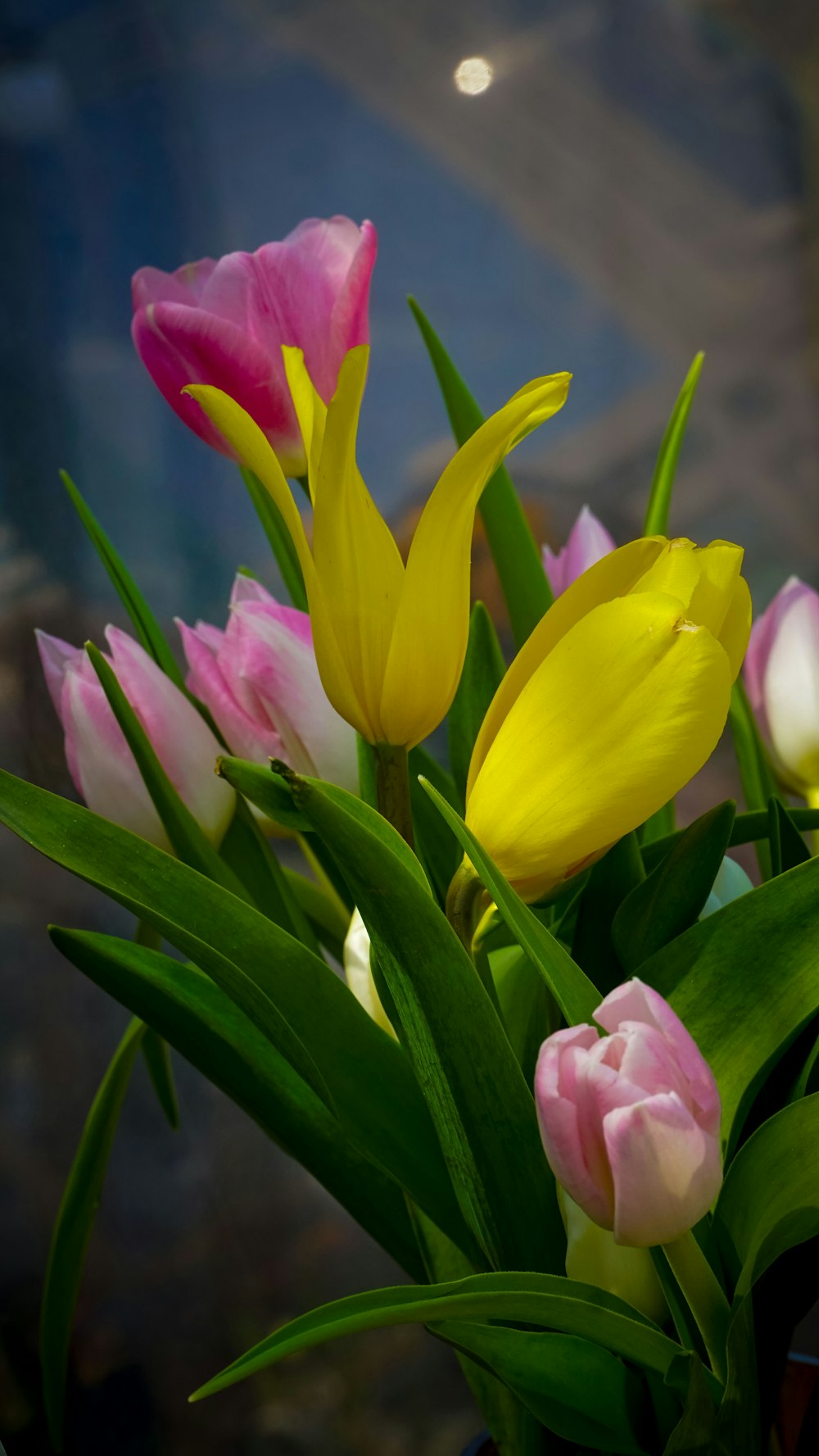 a vase filled with lots of pink and yellow flowers