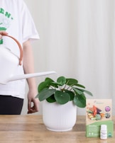 A person is watering a plant with a watering can. The plant is placed on a wooden surface and is contained in a white ribbed pot. Next to the plant is a small box labeled 'RhizoPlus' with an image of vegetables, and a small bottle of Biogarten. The person's shirt has green floral designs and the word 'GREEN'.