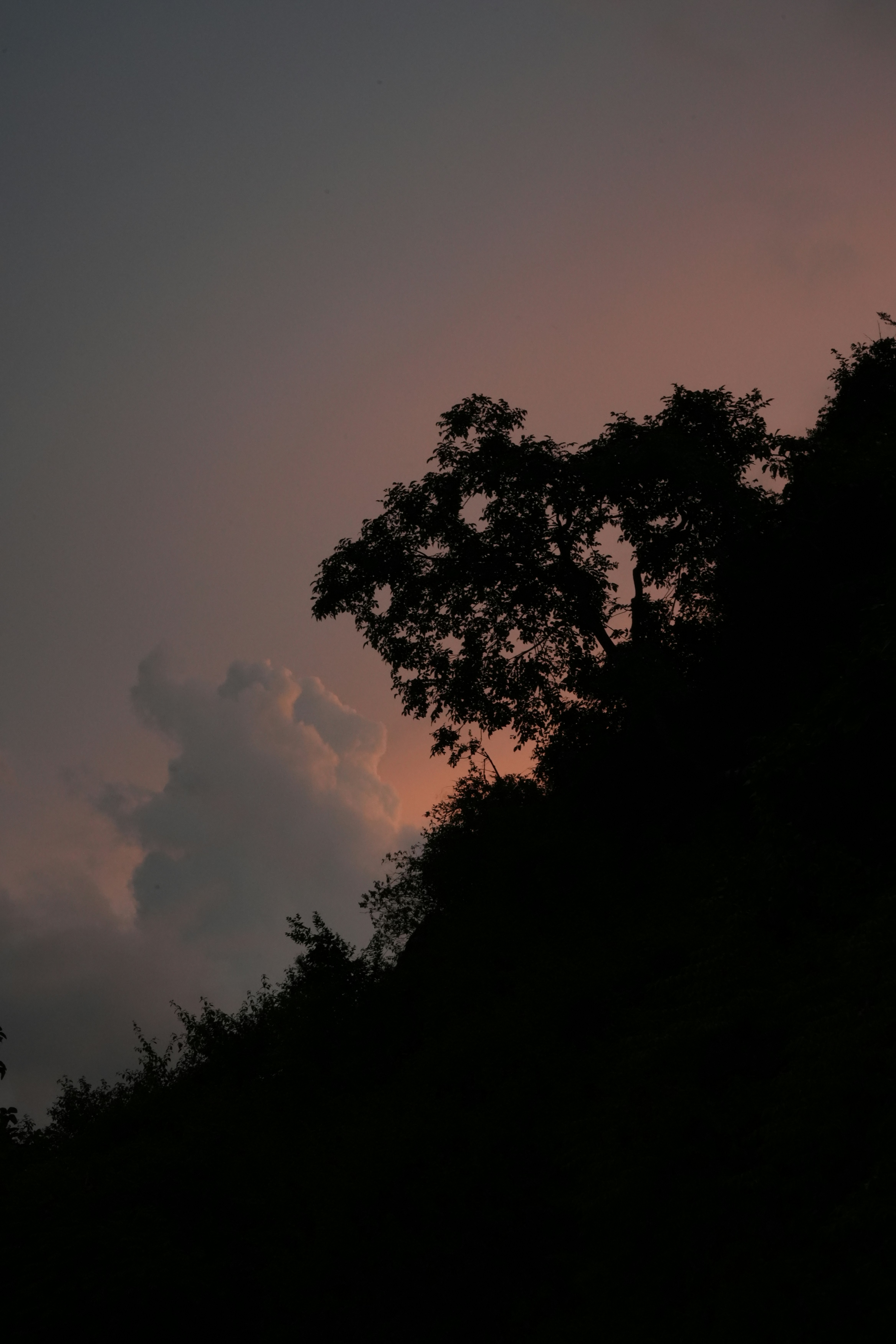 Photo by parashar_a