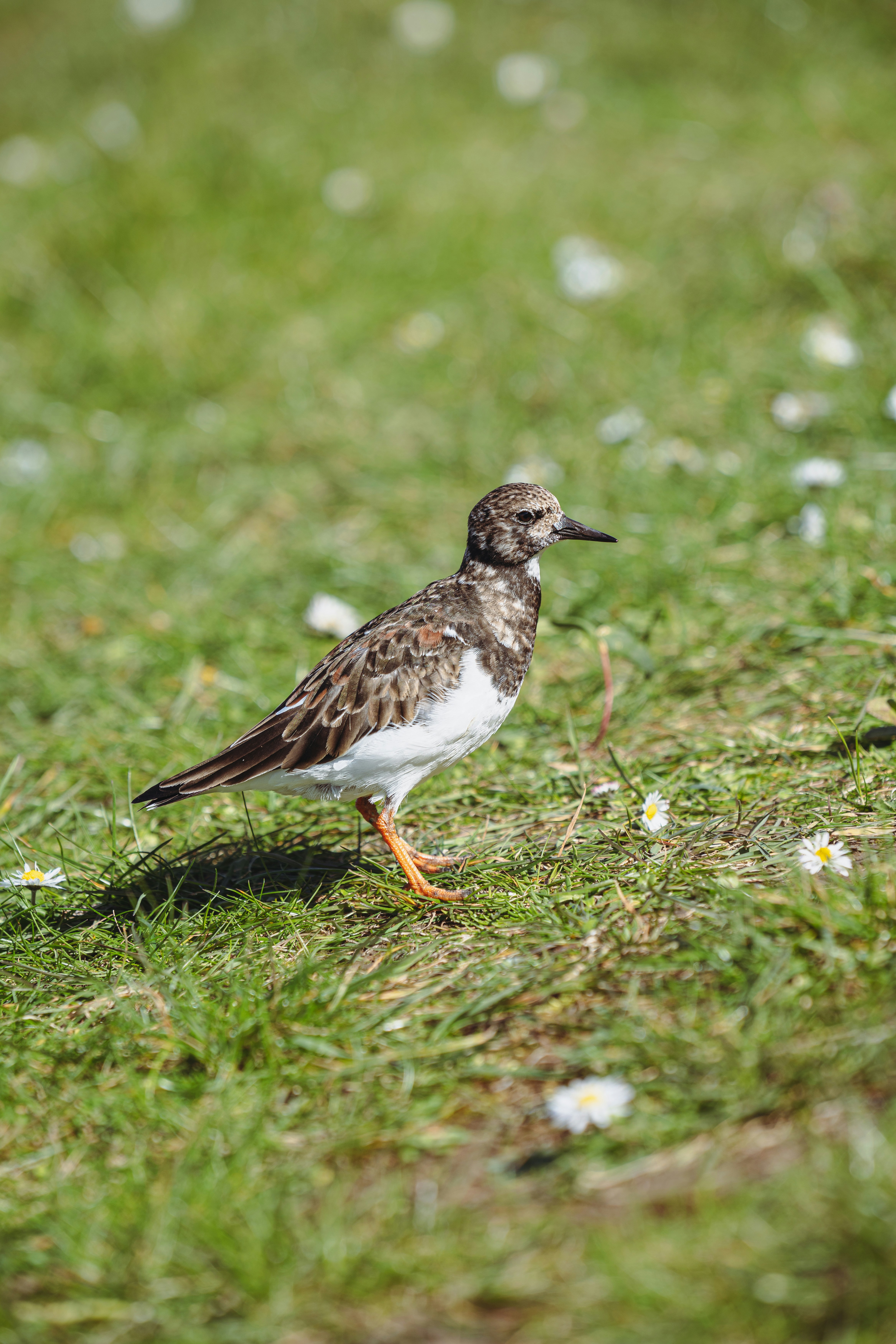 Photo by benjaminelliott