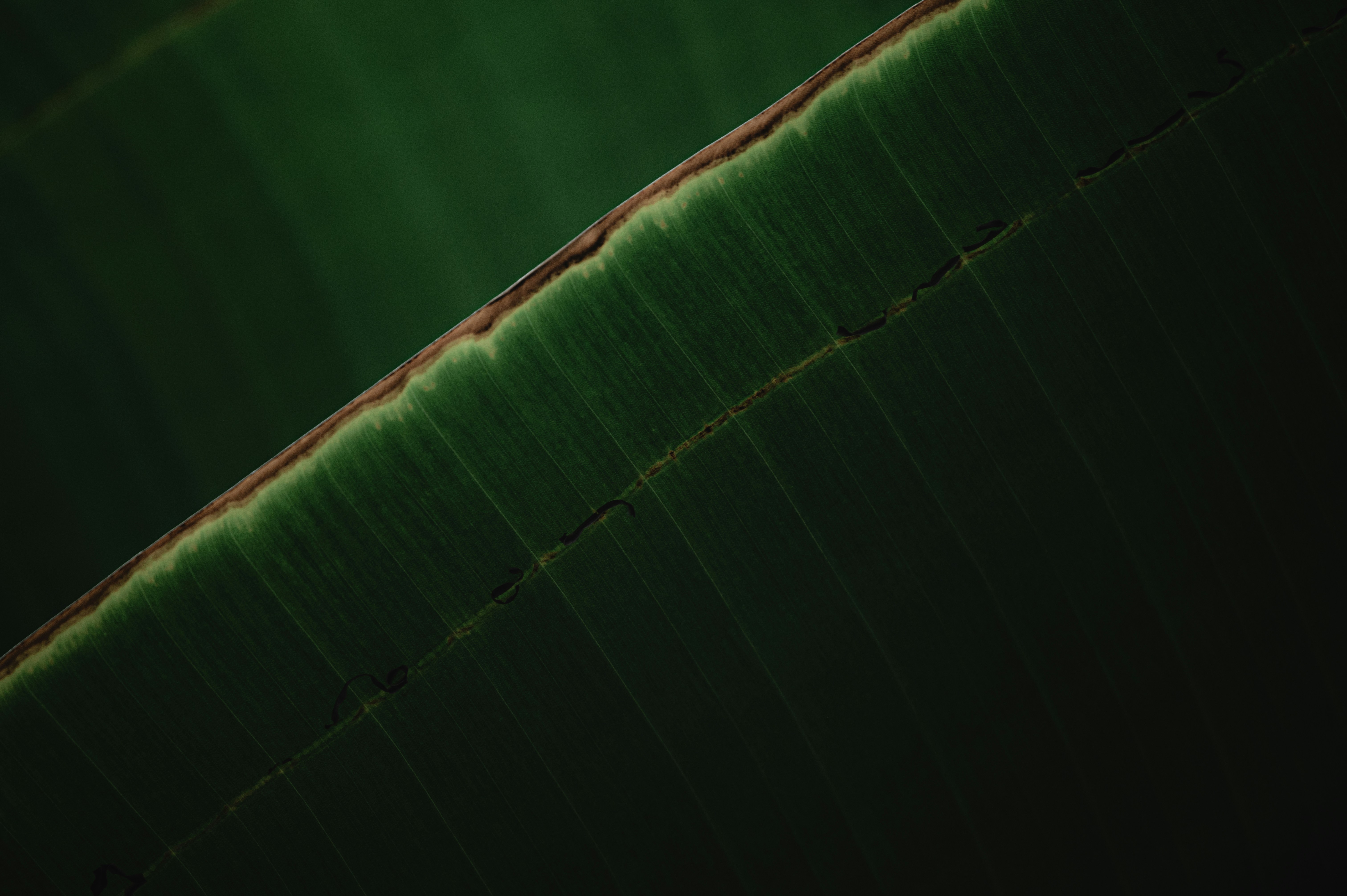 Photo by ryunosuke_kikuno