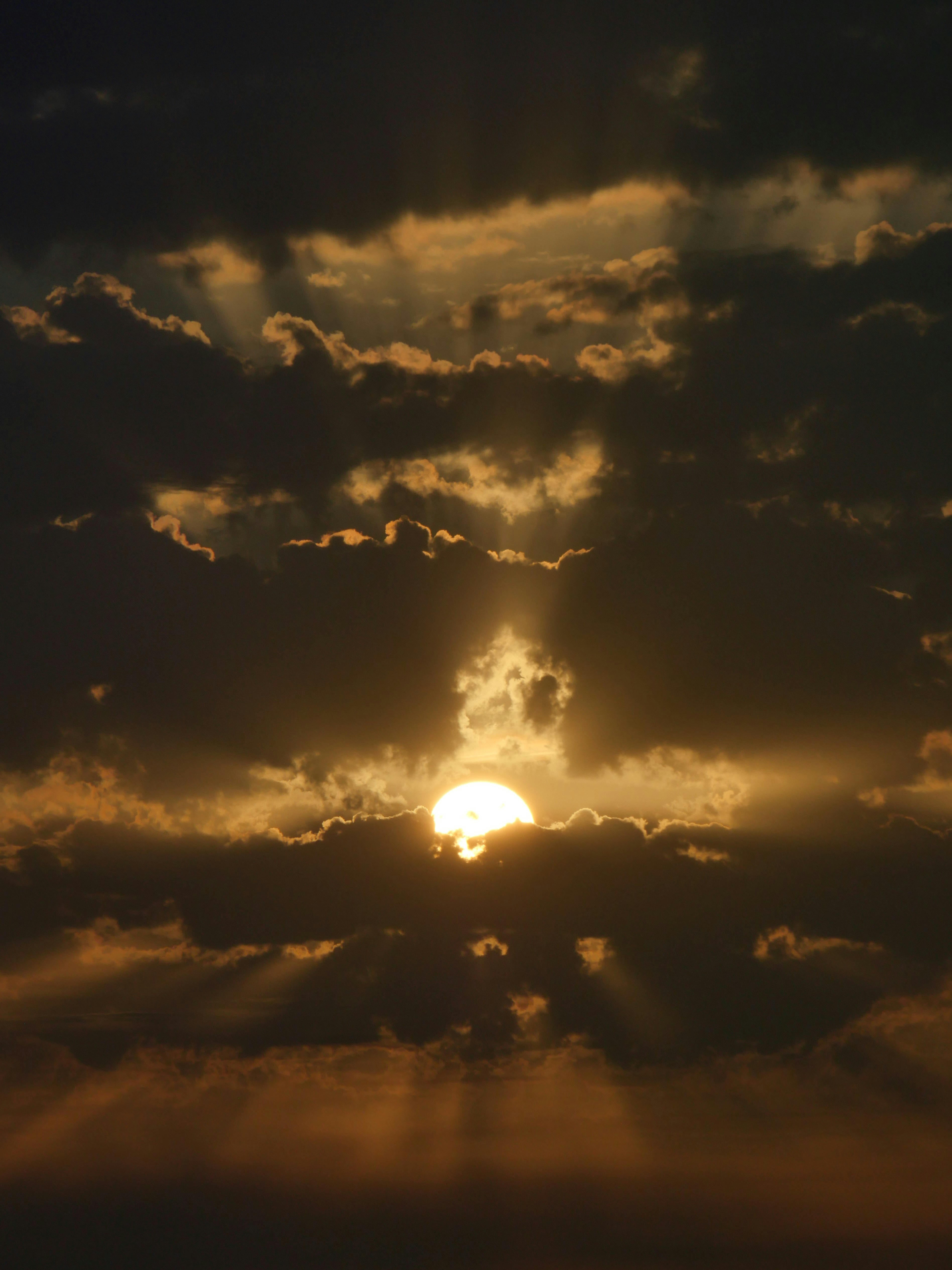 Photo by nimbus_vulpis