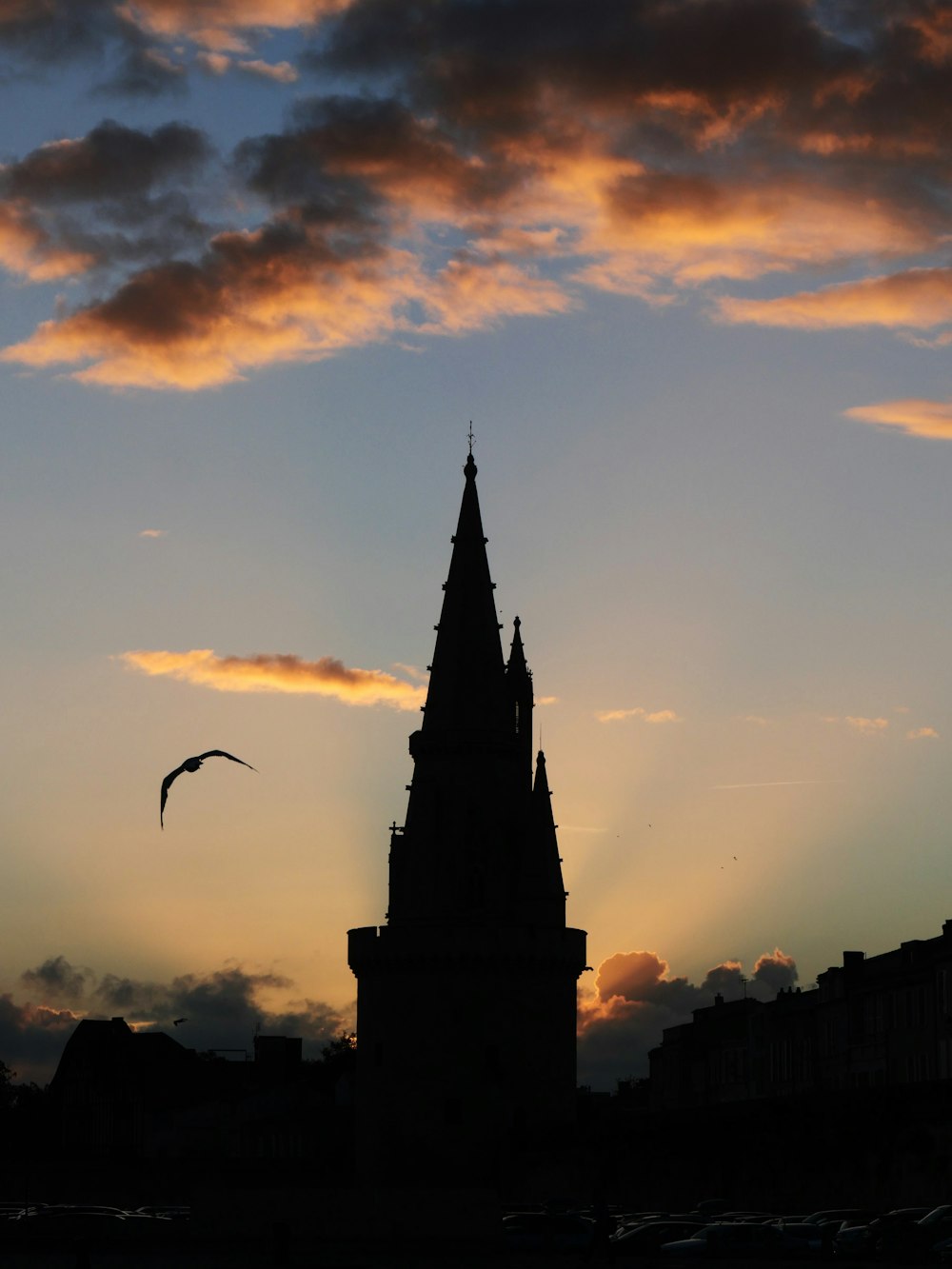 a church steeple with a bird flying in front of it