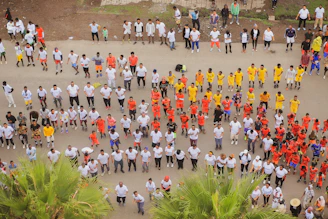 A vibrant group of youth performing an energetic drill routine outdoors under bright sunlight.