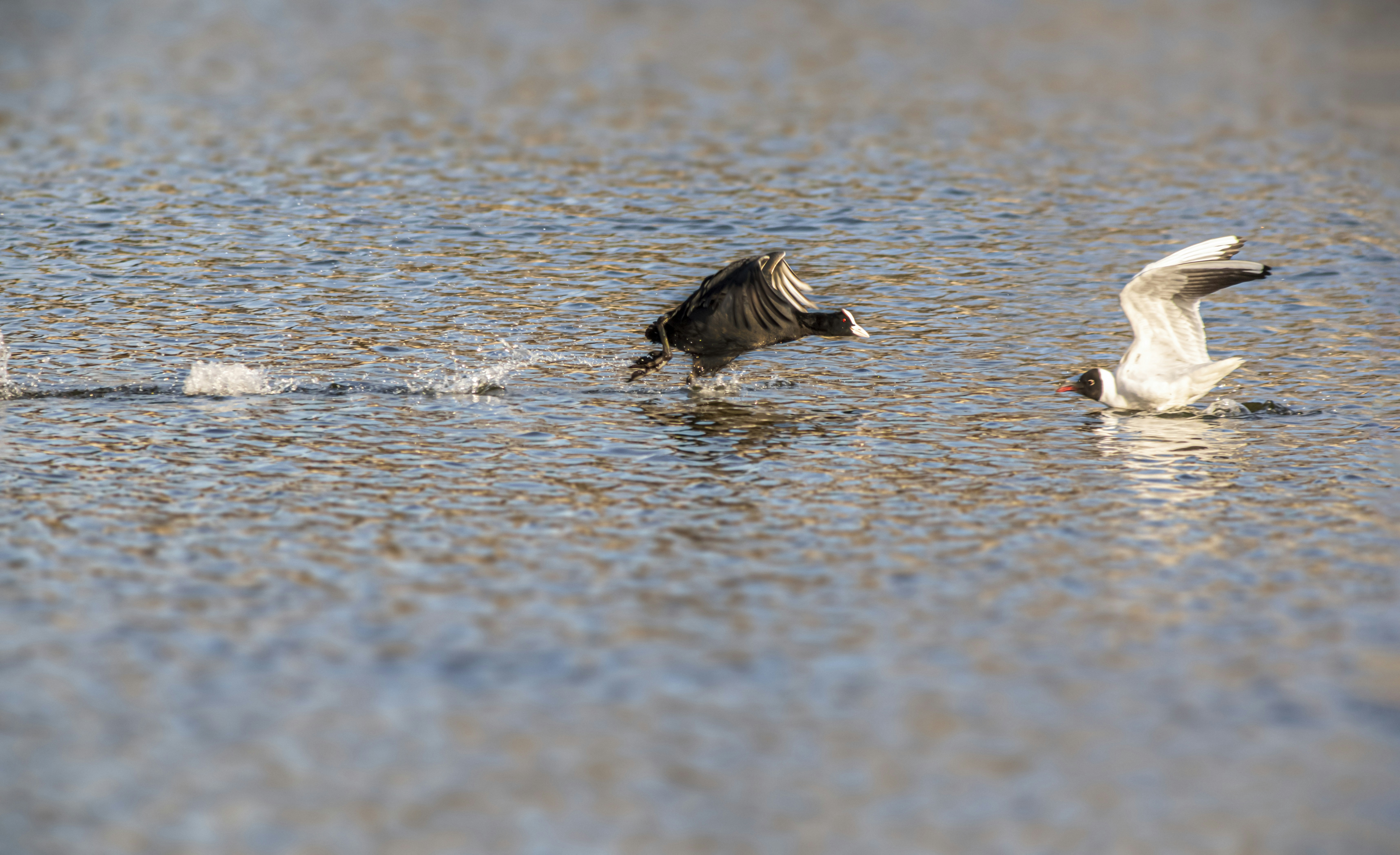 Photo by erik_karits