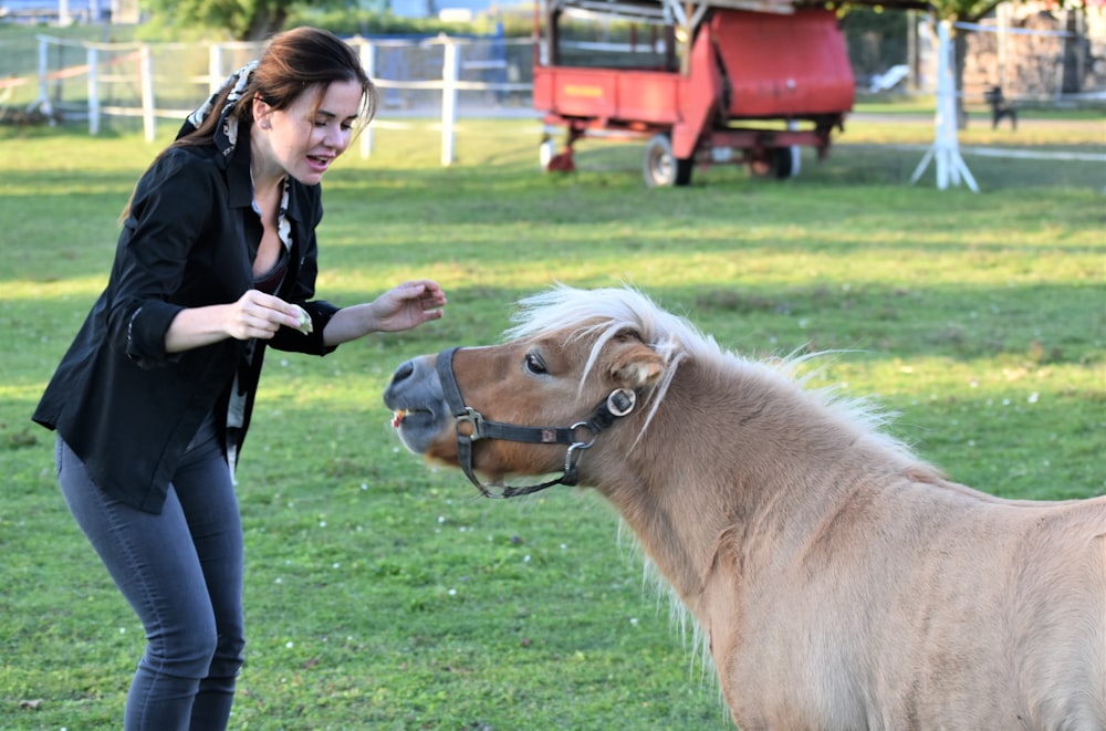 a woman petting a small pony in a field