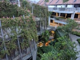 An urban environment featuring a multi-story building partially covered with lush green plants and ivy. The building has a modern architectural style with a blending of nature and structure. Walkways and balconies are visible, alongside trees and other vegetation in surrounding areas. The upper section of the building has a red-tiled roof with skylights.