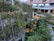 An urban environment featuring a multi-story building partially covered with lush green plants and ivy. The building has a modern architectural style with a blending of nature and structure. Walkways and balconies are visible, alongside trees and other vegetation in surrounding areas. The upper section of the building has a red-tiled roof with skylights.