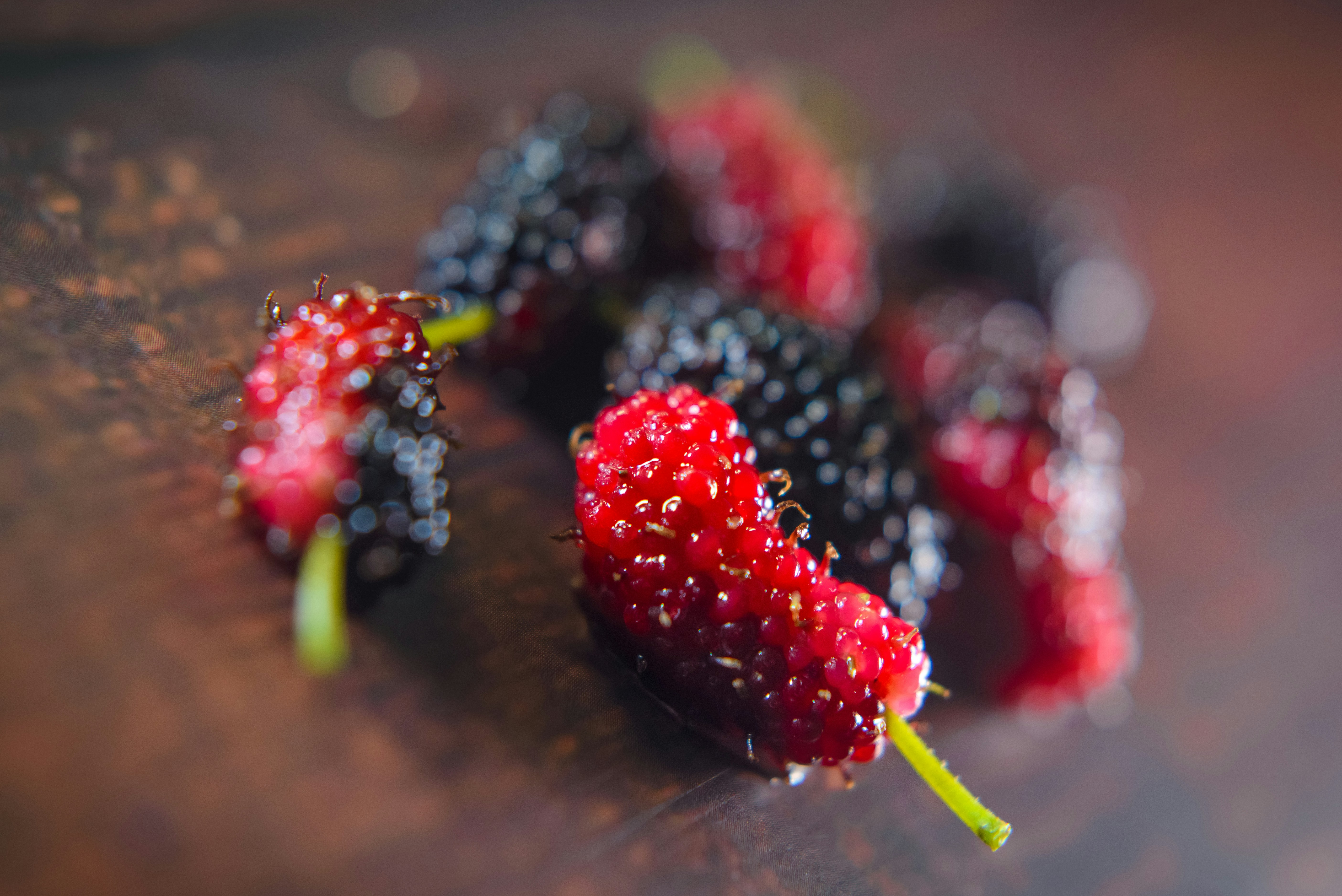 Organik Karadut Özü