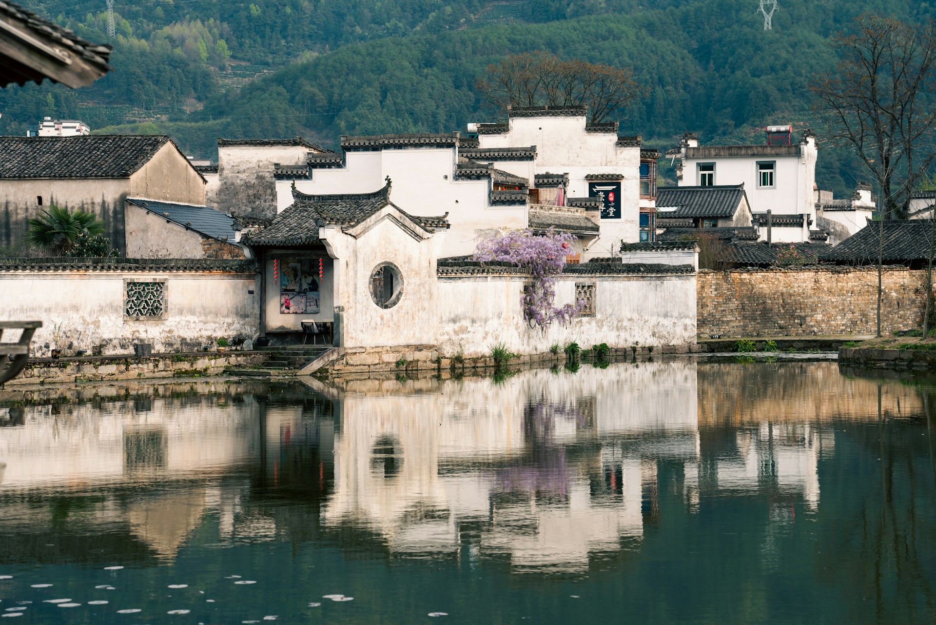 a body of water with buildings and trees in the background