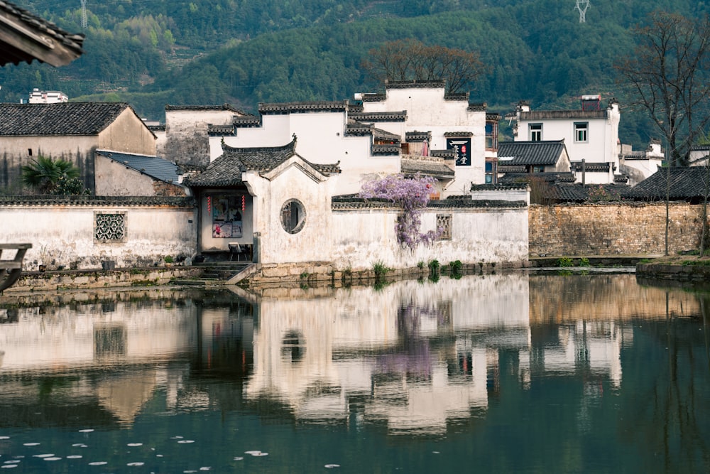 a body of water with buildings and trees in the background