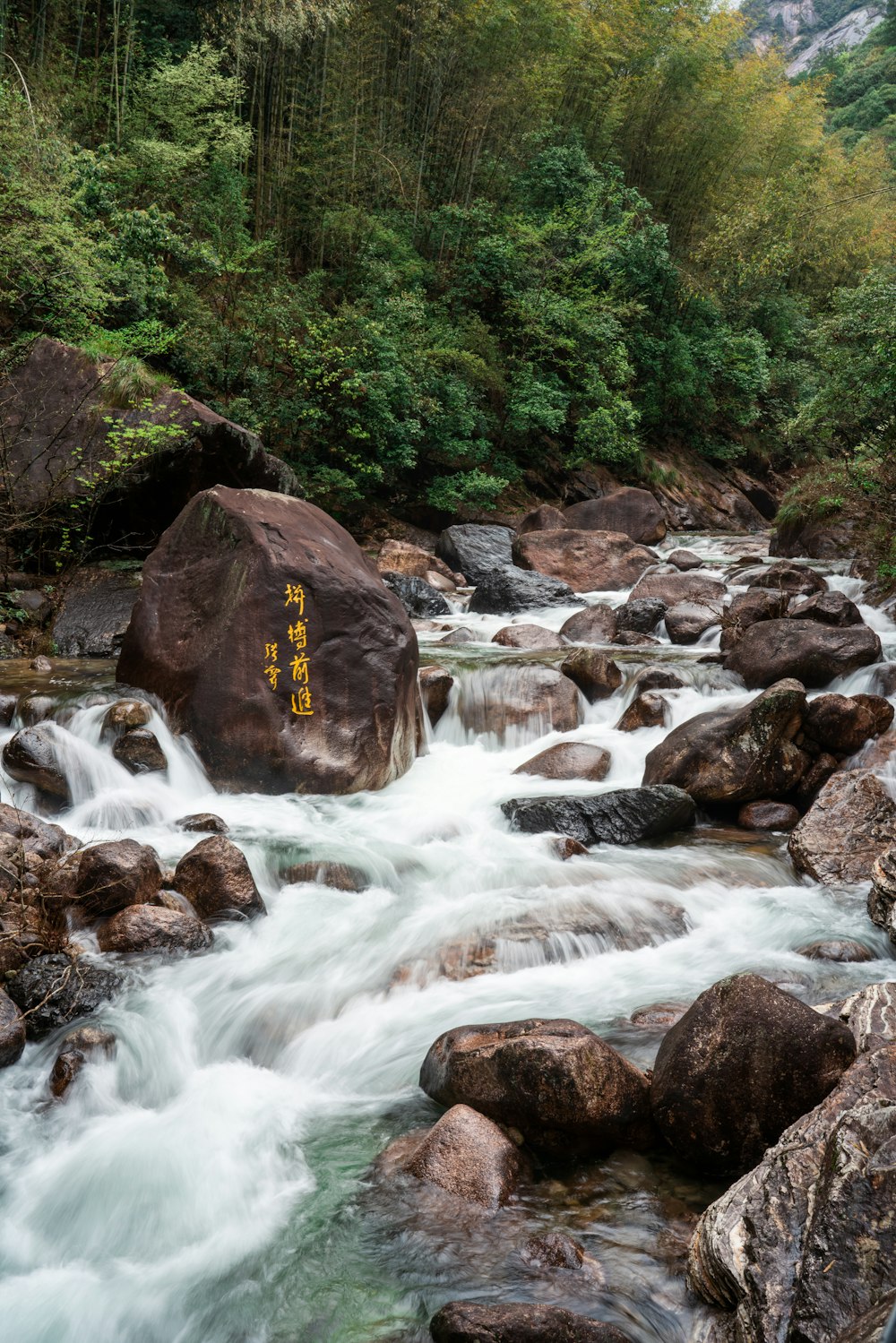 a river running through a lush green forest