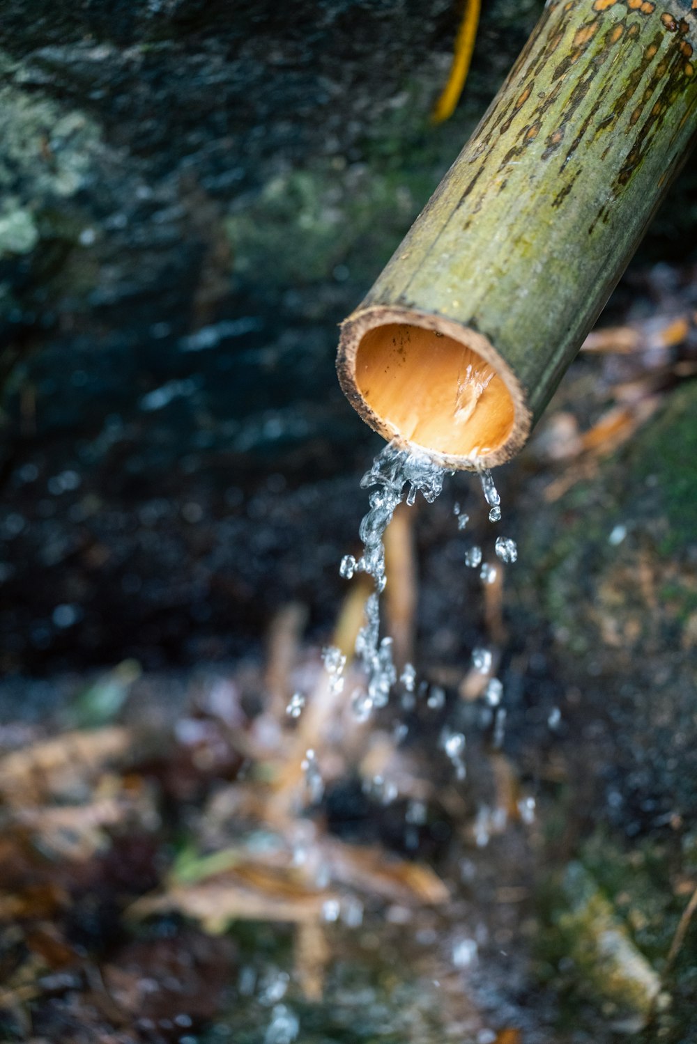a wooden pipe pouring water into a stream