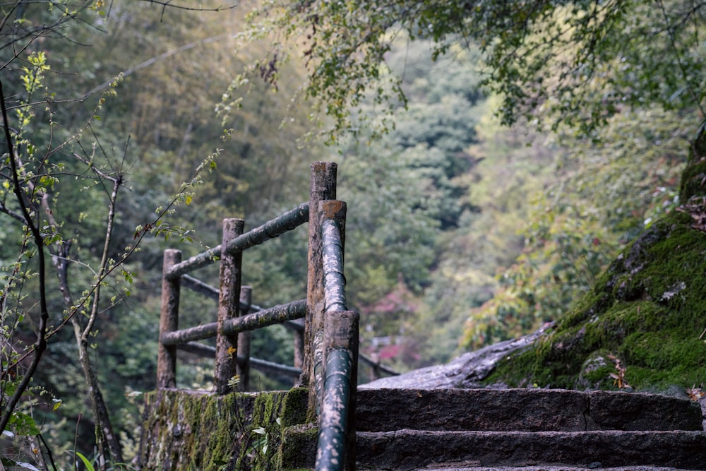 a set of stairs leading up to a forest