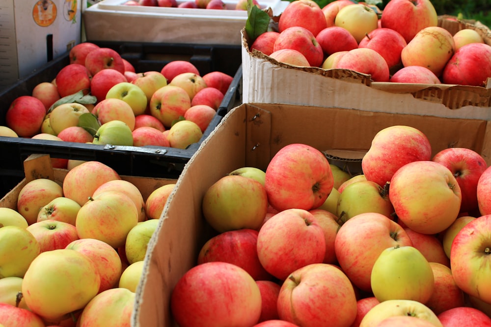 a box of apples sitting next to boxes of other apples