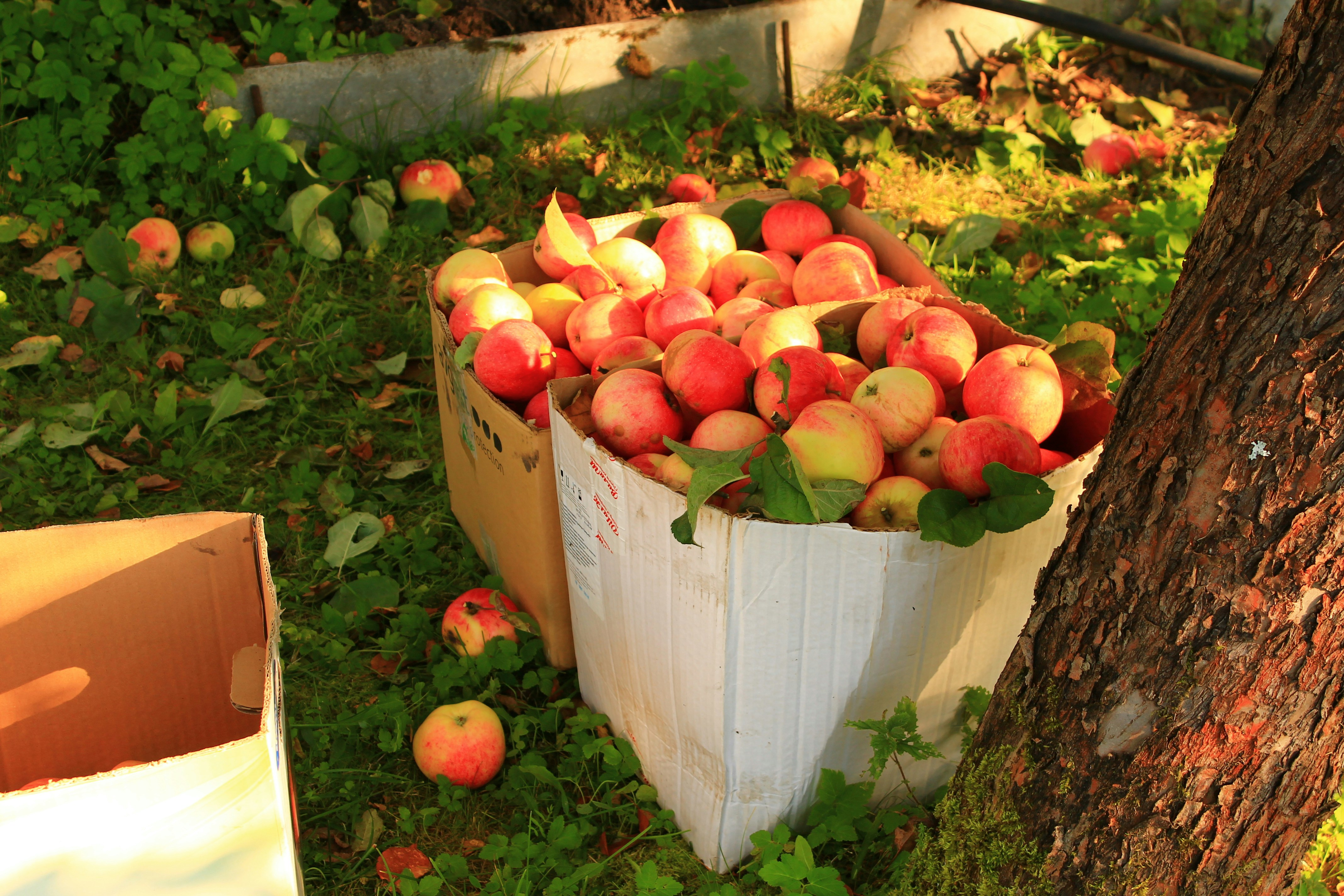 ✊🏾Reparations, Storytellers' Anthology, and more