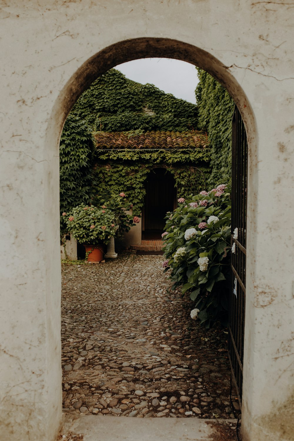 a stone walkway with a gate and flowers