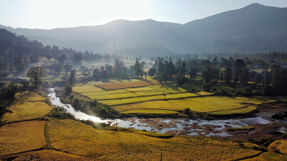 a river running through a lush green valley