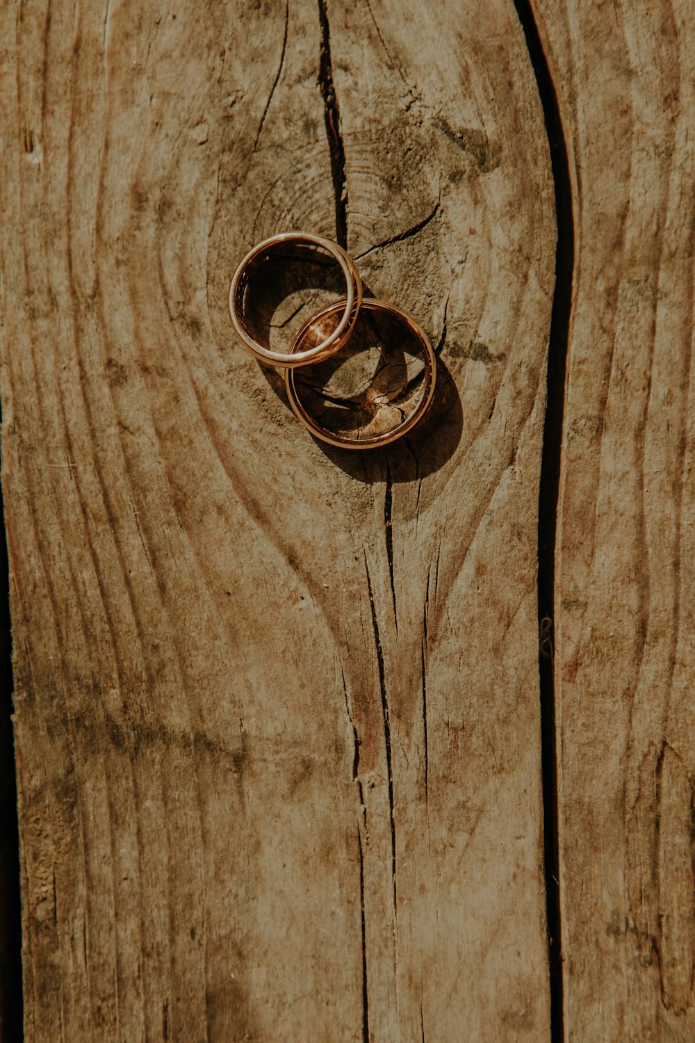 two wedding rings on a piece of wood