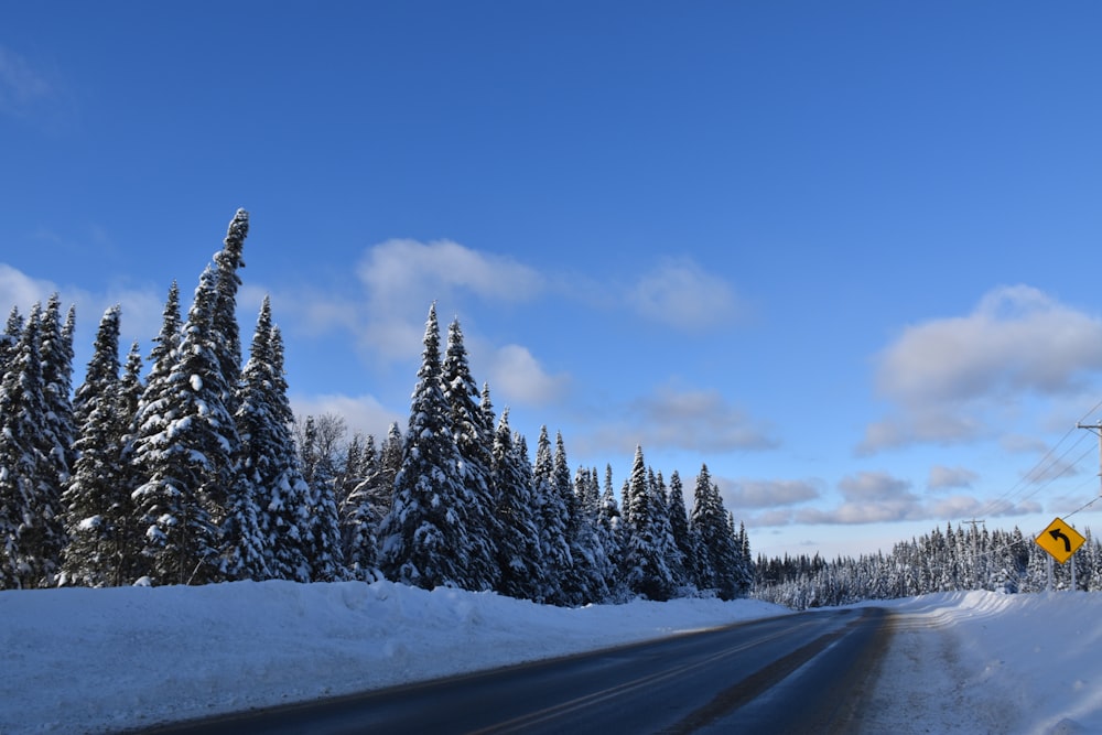 a road with snow on the ground and trees in the background
