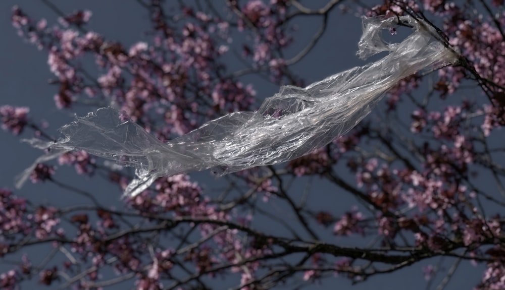 a plastic wrap wrapped around a tree branch