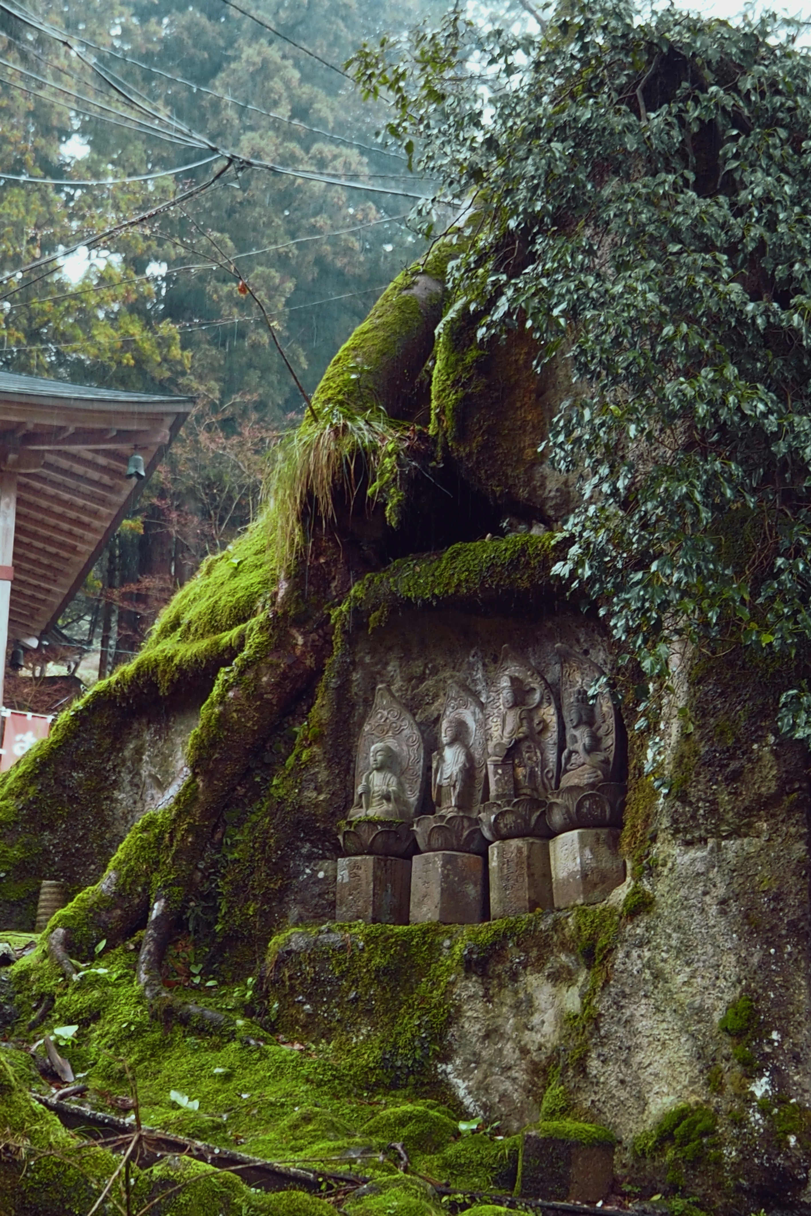 a moss covered rock with carvings on it