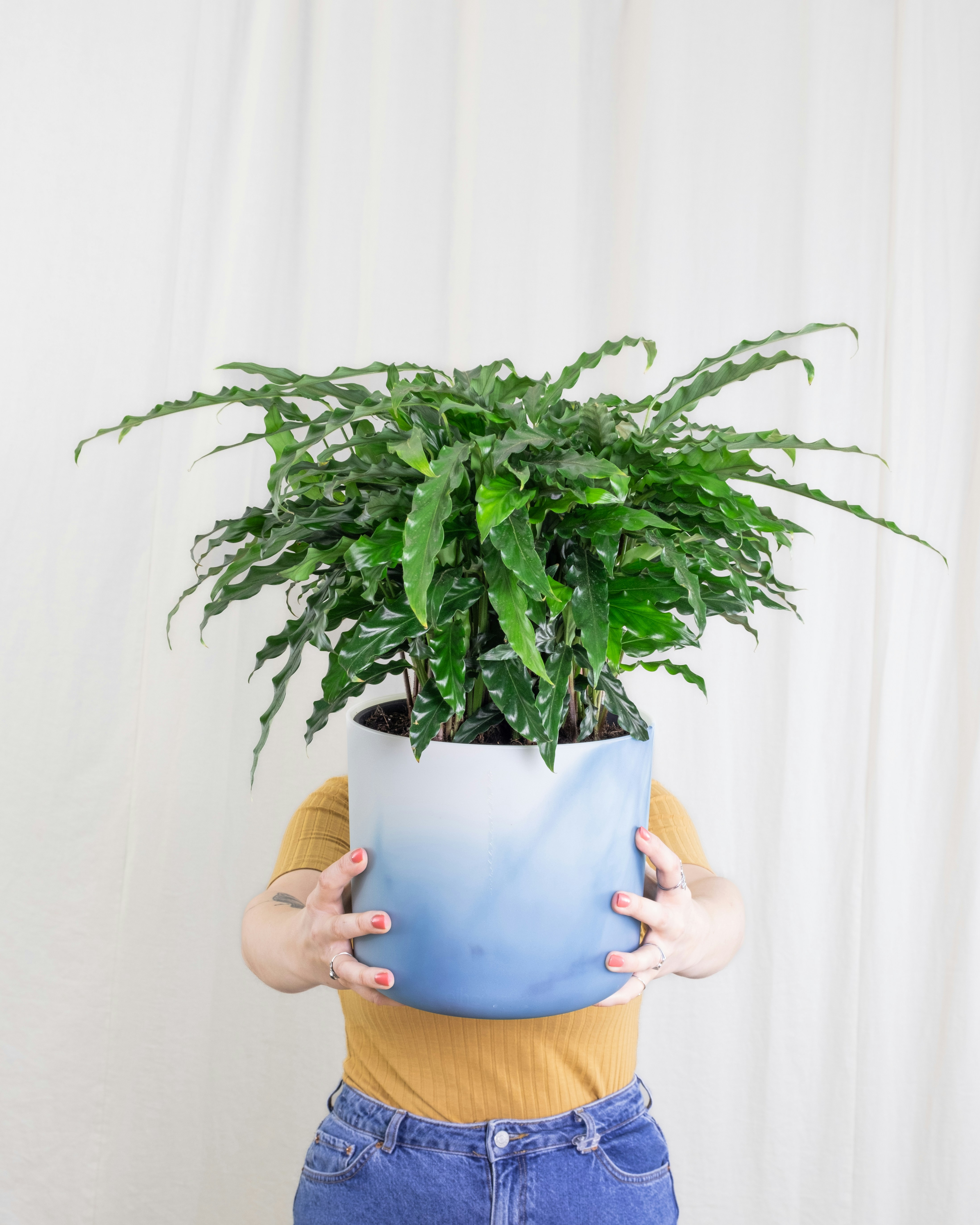 a woman holding a potted plant in her hands