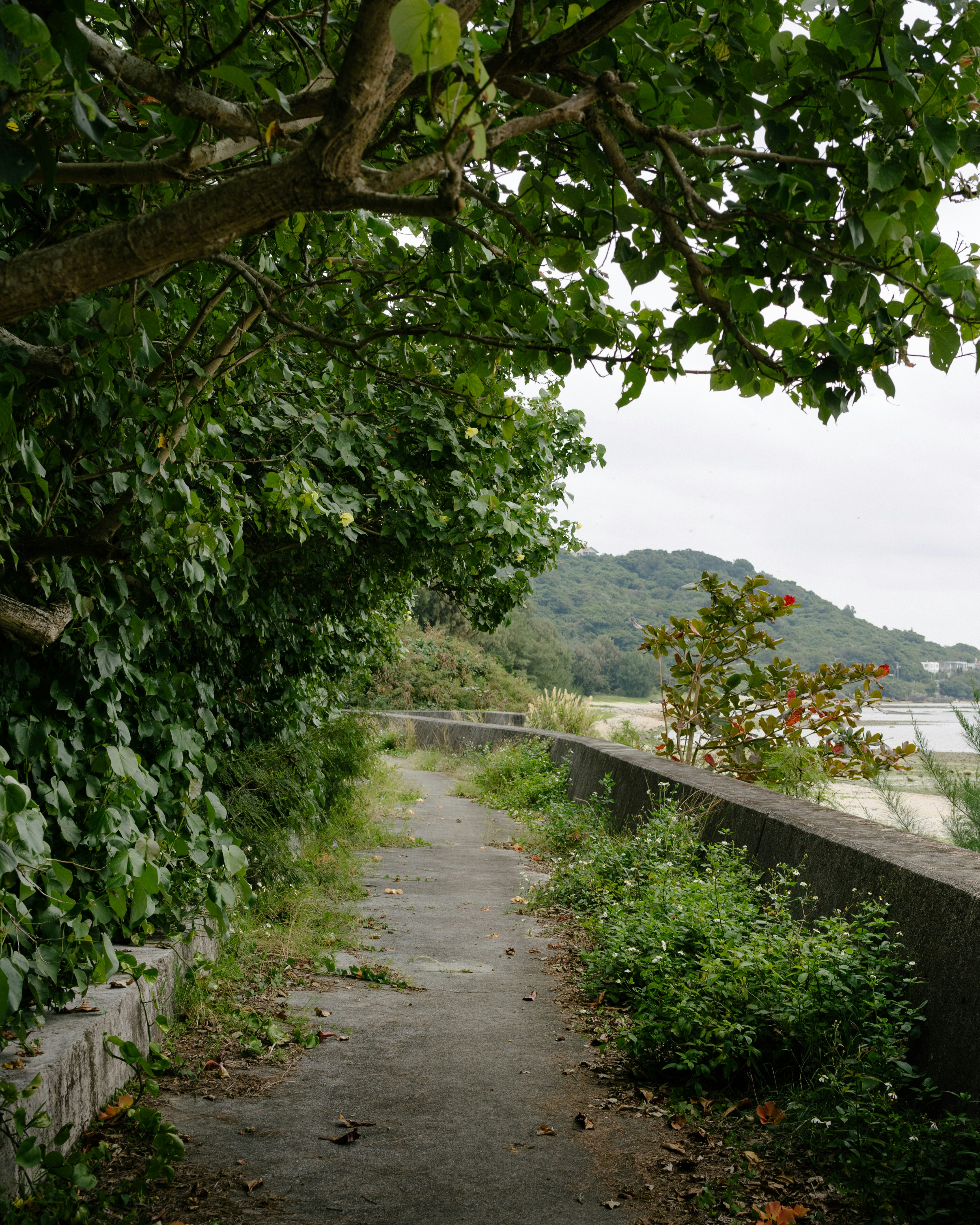 Ferries to Outer Islands