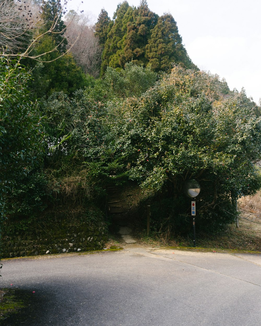 a road with a light post in the middle of it