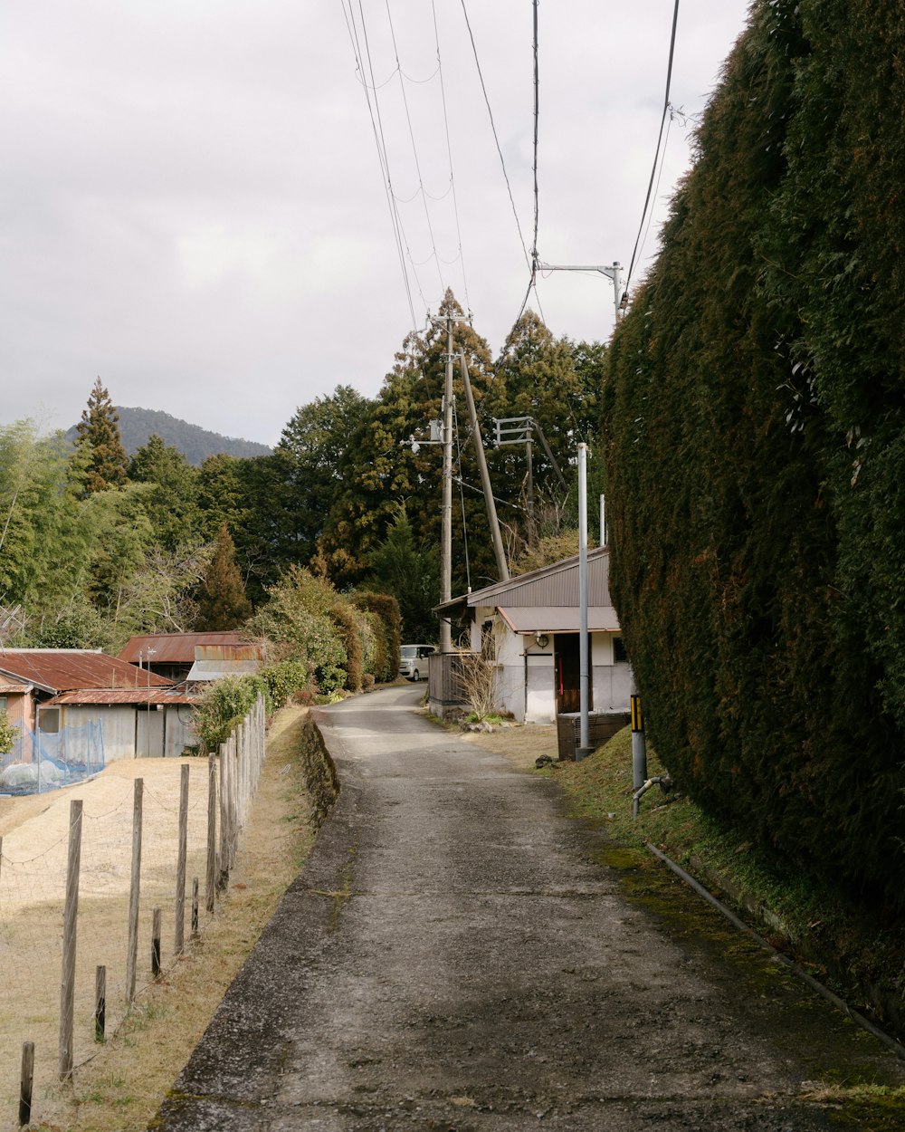 a dirt road with a telephone pole above it