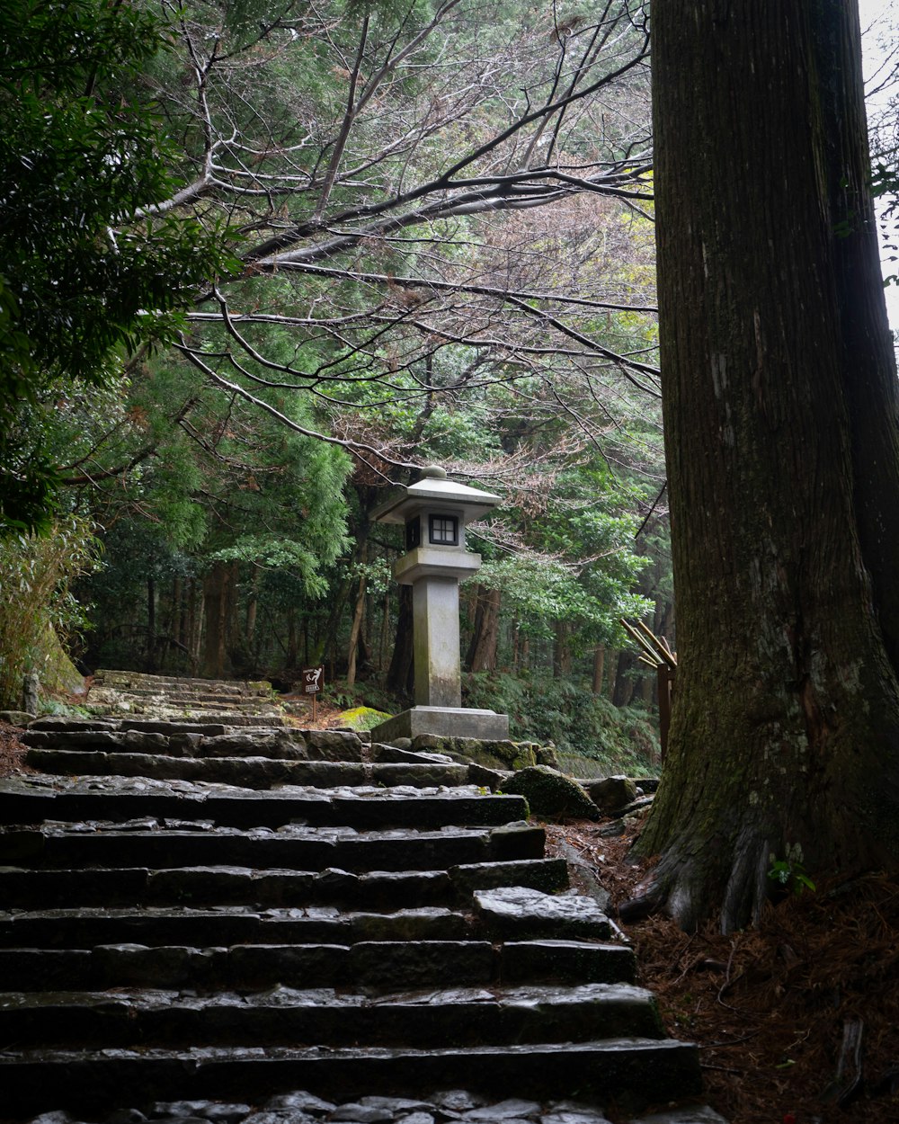 a set of steps leading up to a shrine in the woods
