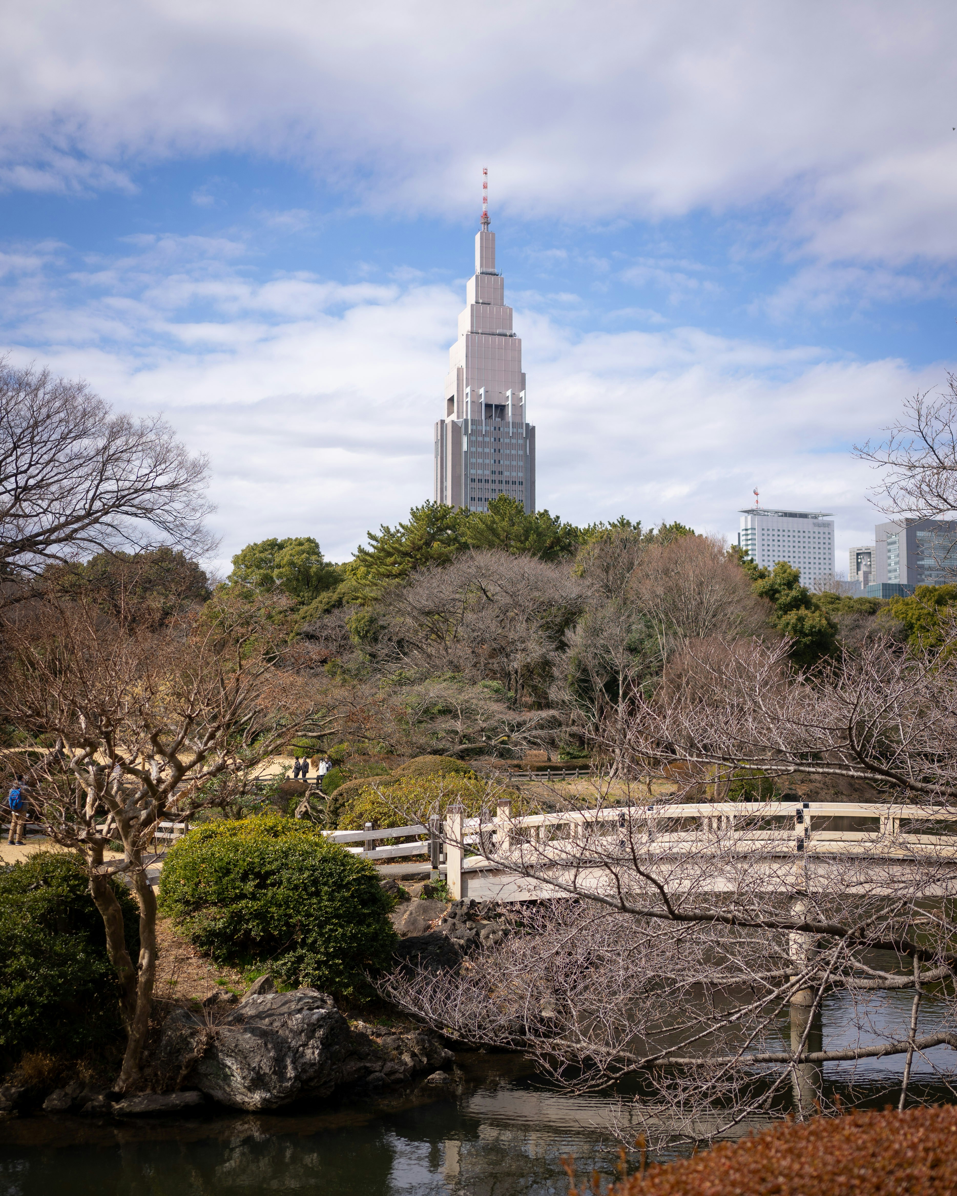 公園の小さな池に架かる橋