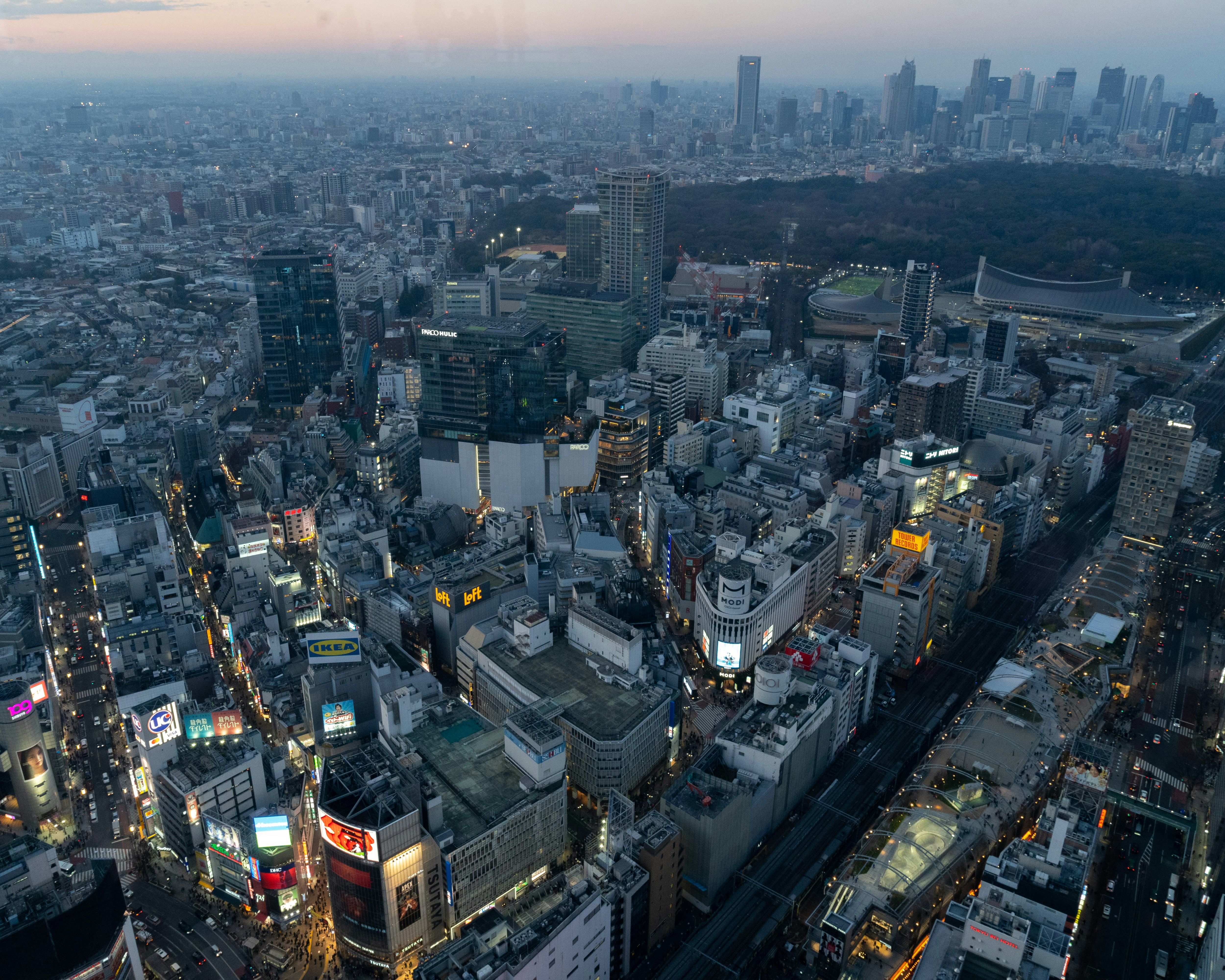 Shibuya Sky - 도쿄 1
